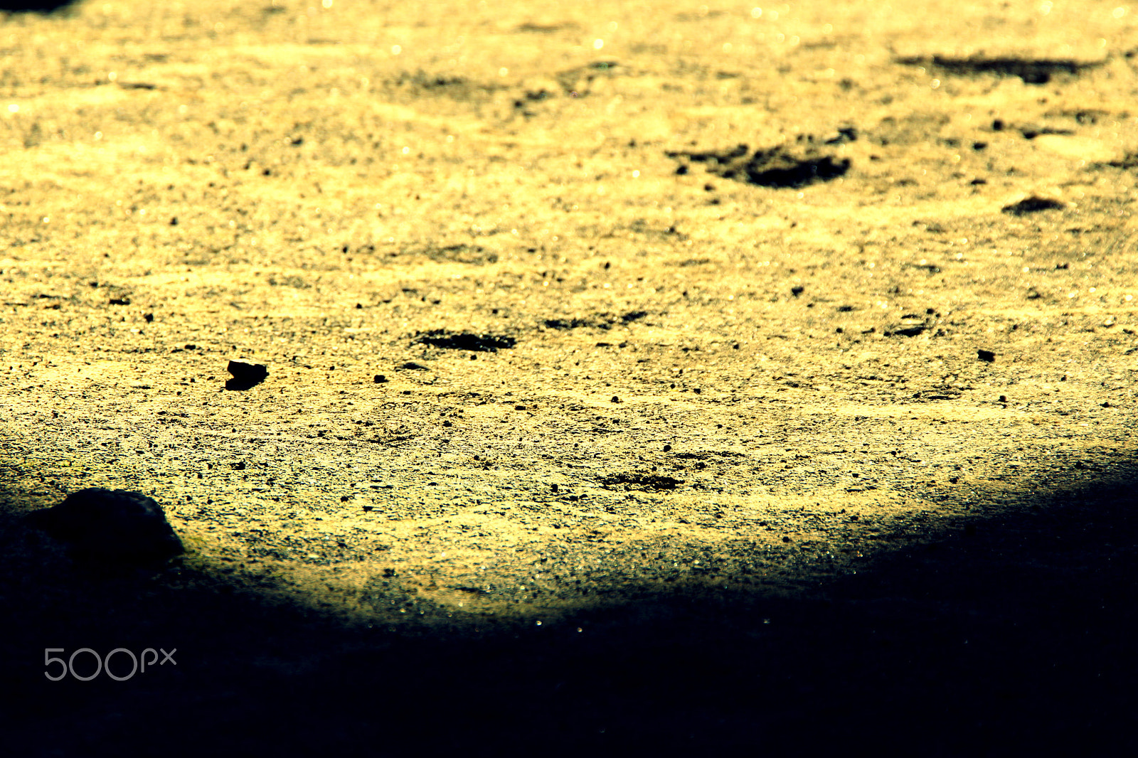 Sony 70-200mm F2.8 G SSM II sample photo. Courtyard photography