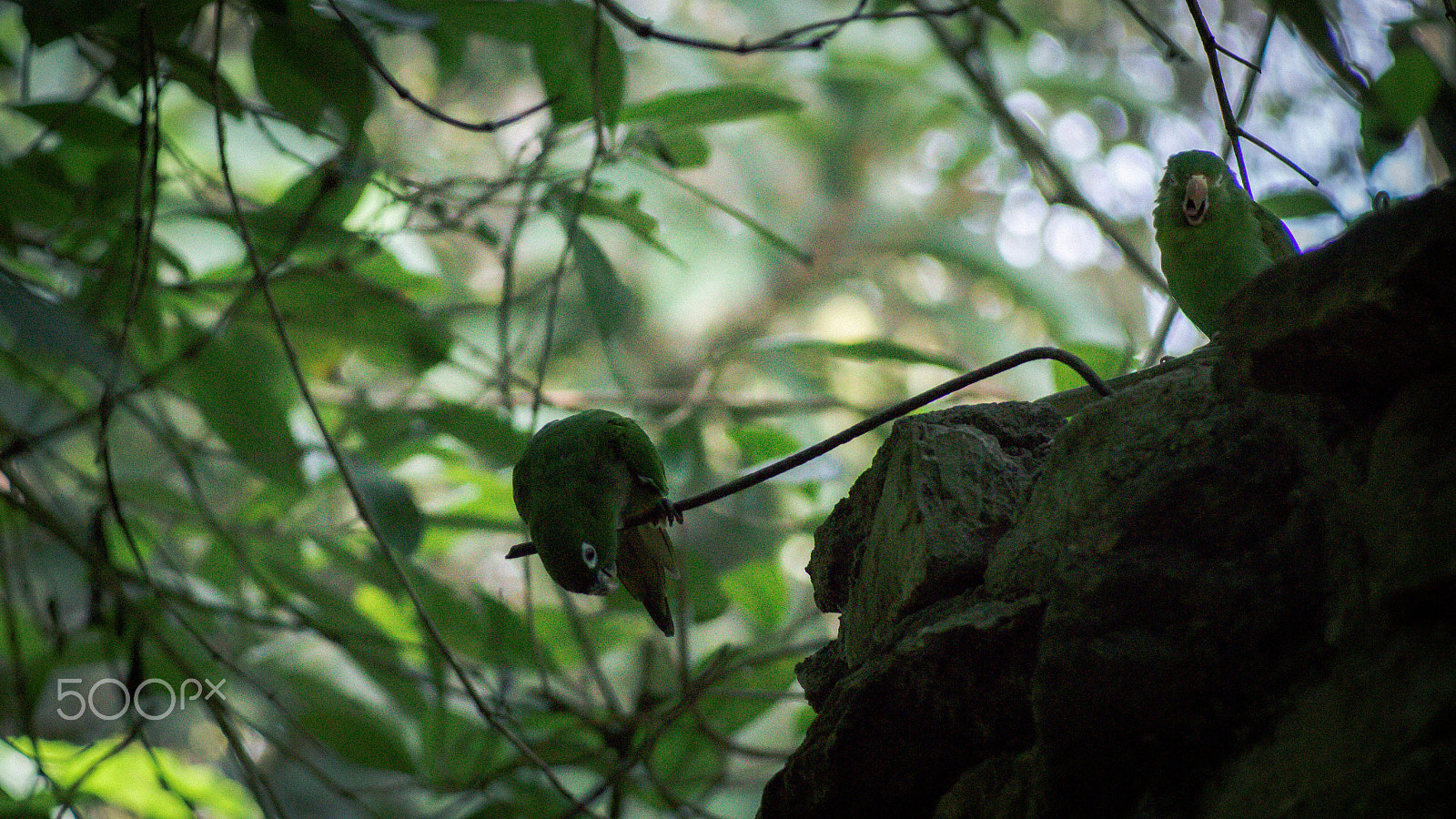 Canon EF 80-200mm f/4.5-5.6 USM sample photo. Having fun photography