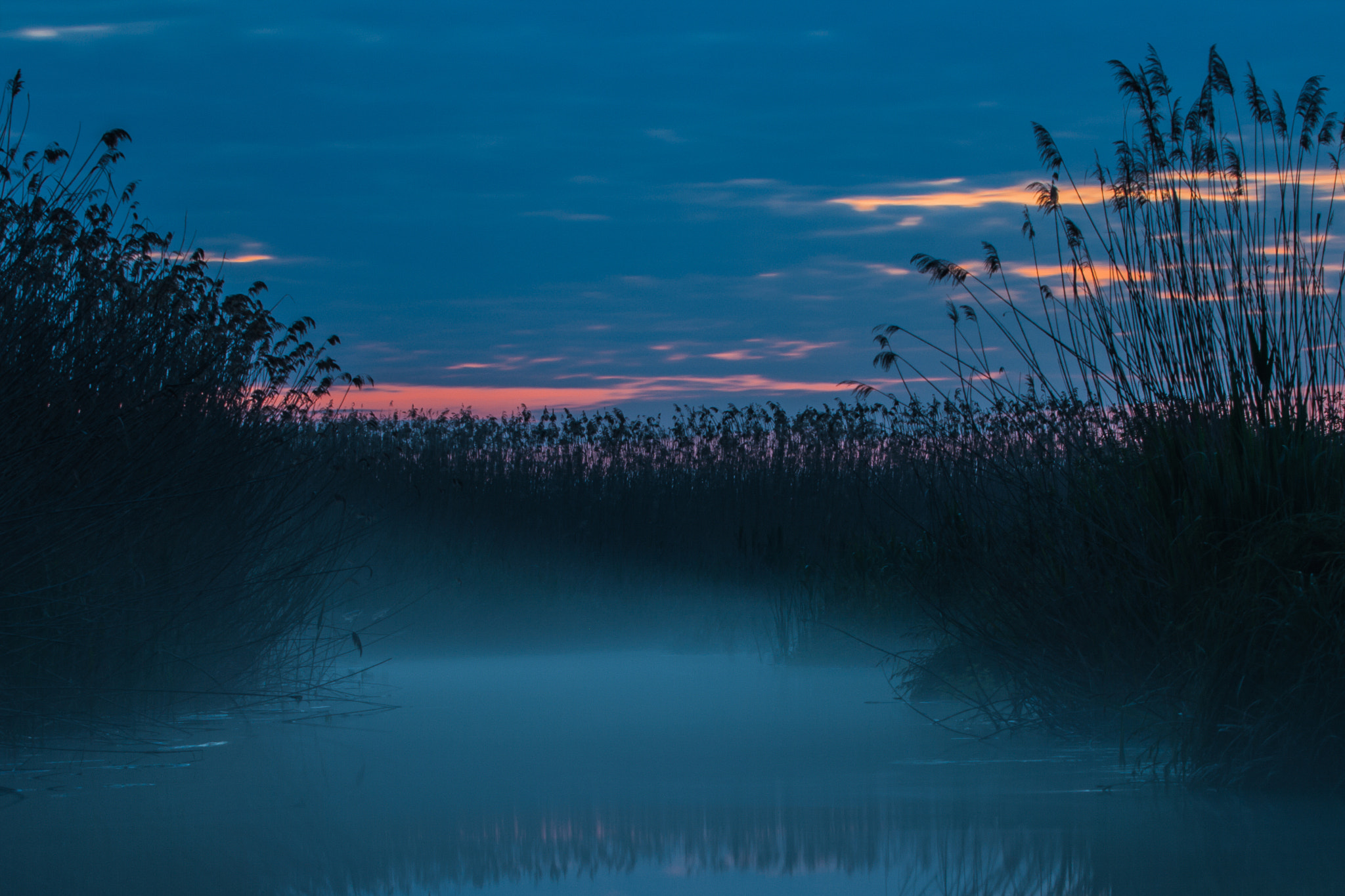 Canon EF 70-200mm F2.8L USM sample photo. Foggy morning on the lake photography