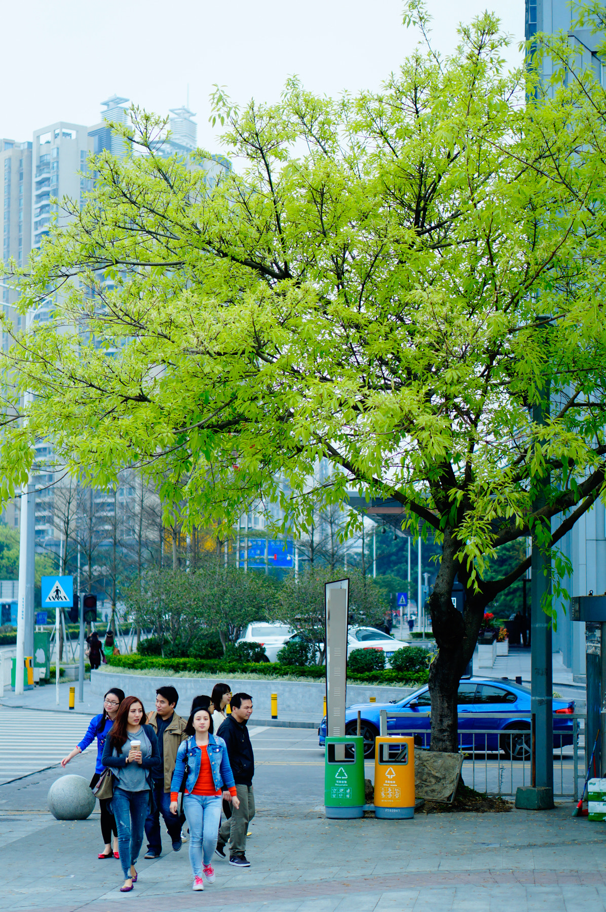 Sony Alpha NEX-3N + E 50mm F1.8 OSS sample photo. Nian () photography