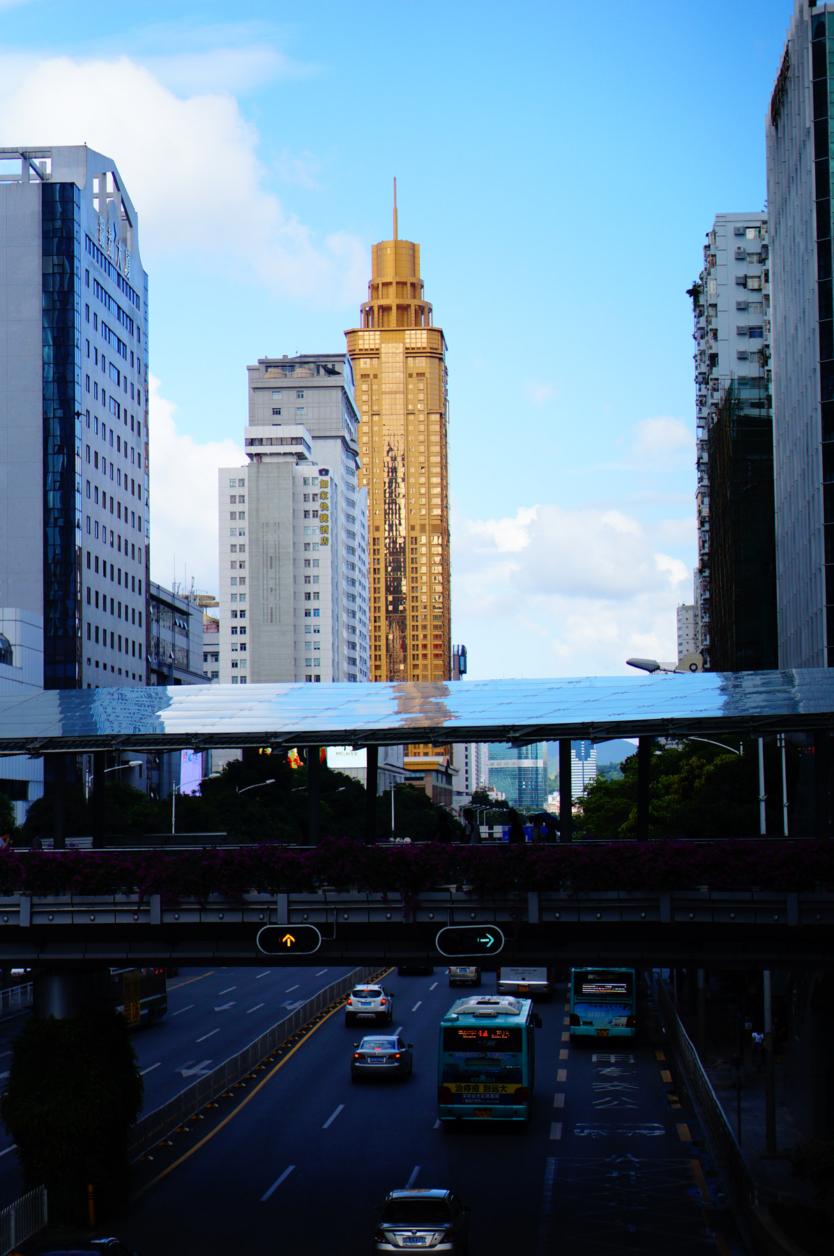 Sony Alpha NEX-3N + E 50mm F1.8 OSS sample photo. Nian () photography