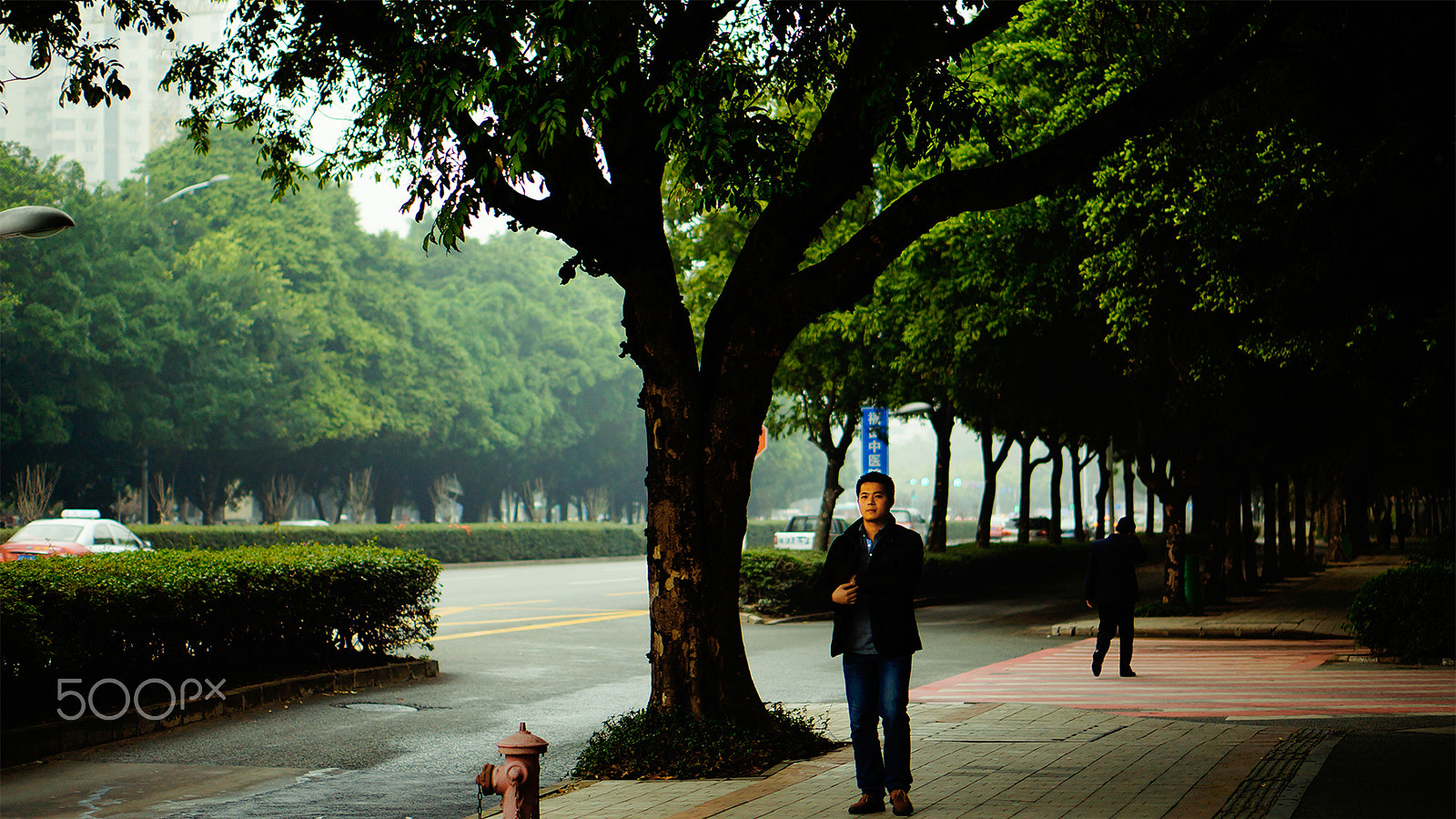 Sony Alpha NEX-3N + E 50mm F1.8 OSS sample photo. Nian () photography