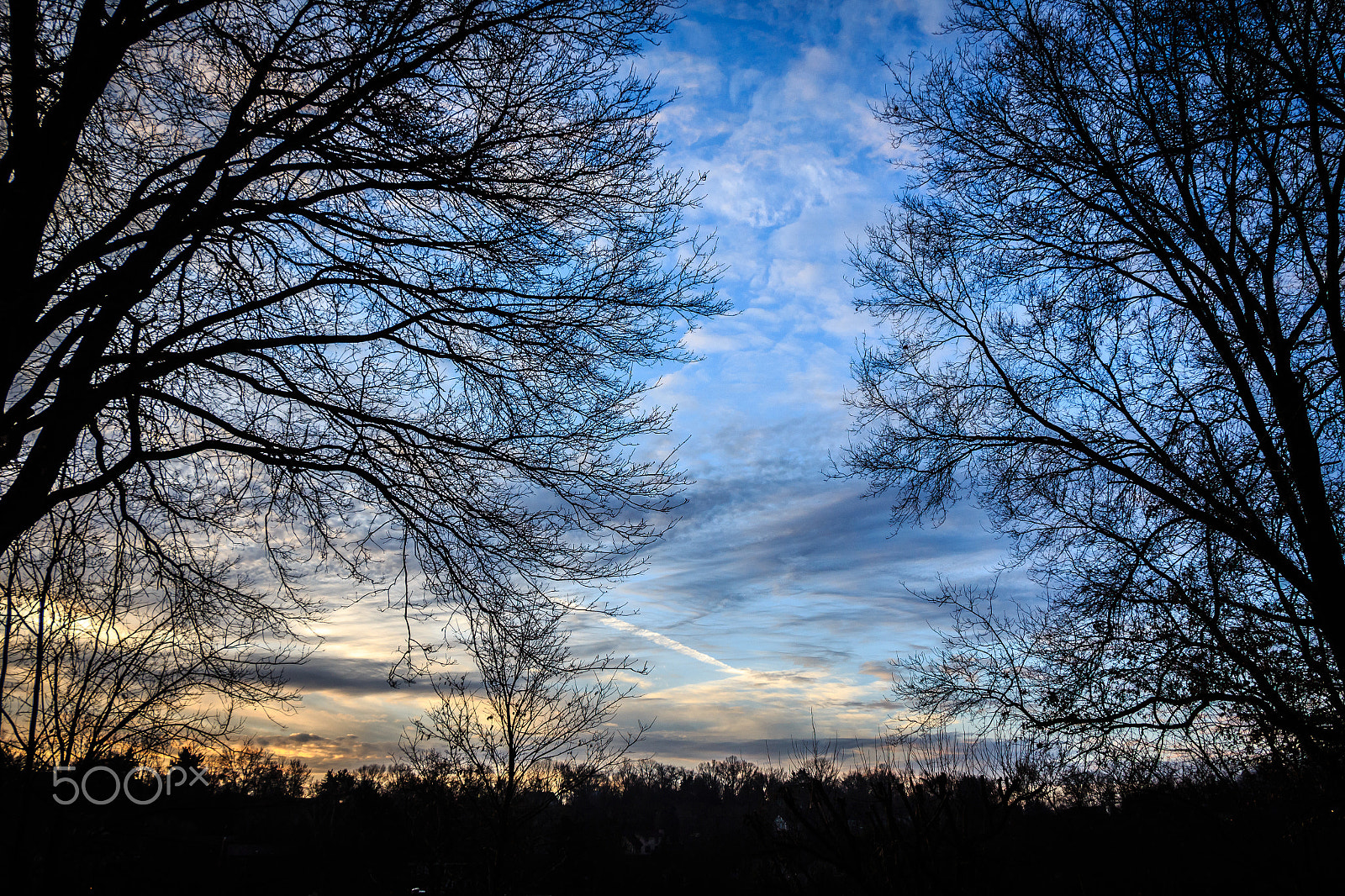 Canon EOS 650D (EOS Rebel T4i / EOS Kiss X6i) sample photo. Evening trees in winter photography