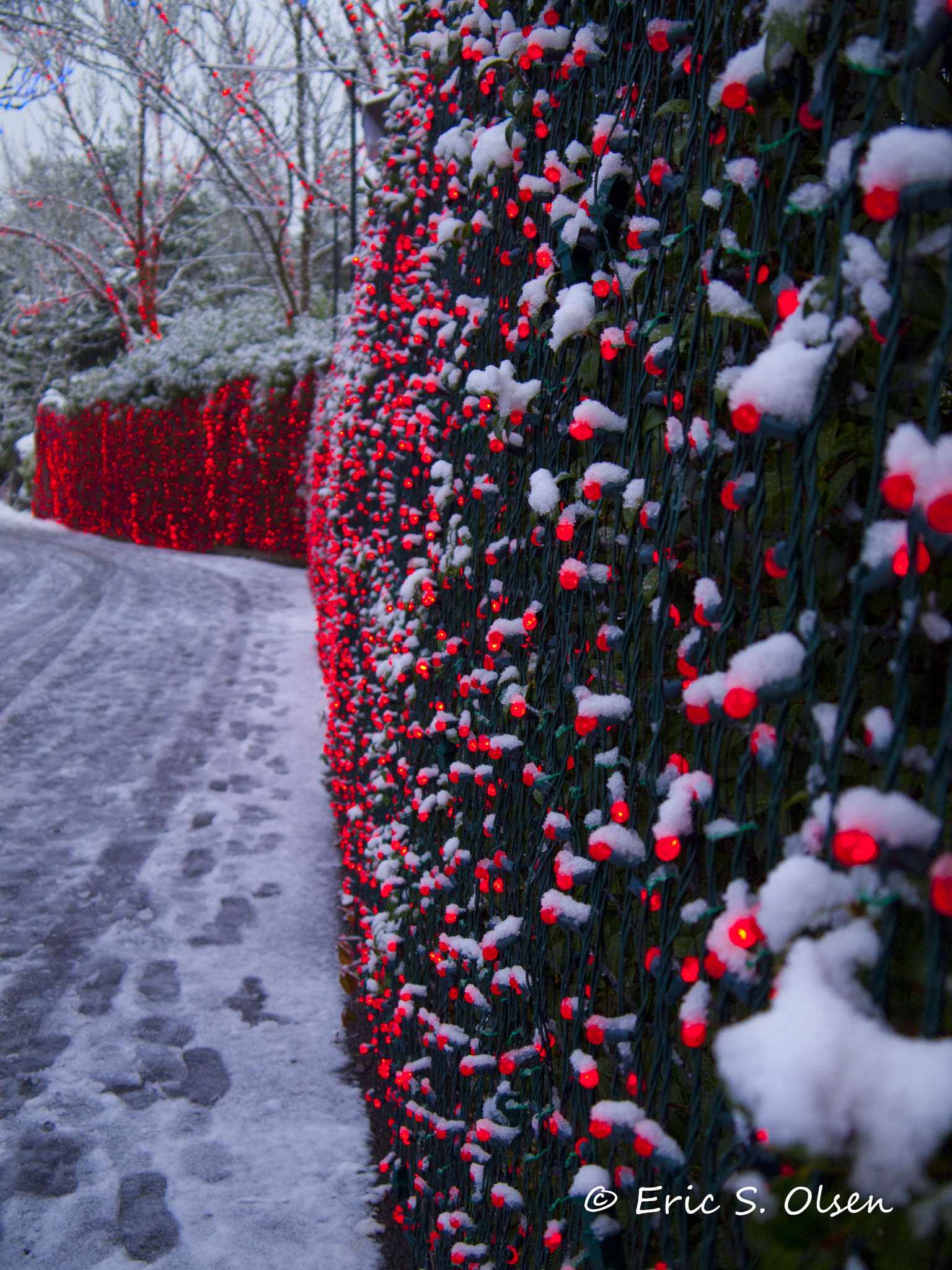 Olympus PEN E-P1 sample photo. A red and white holiday photography