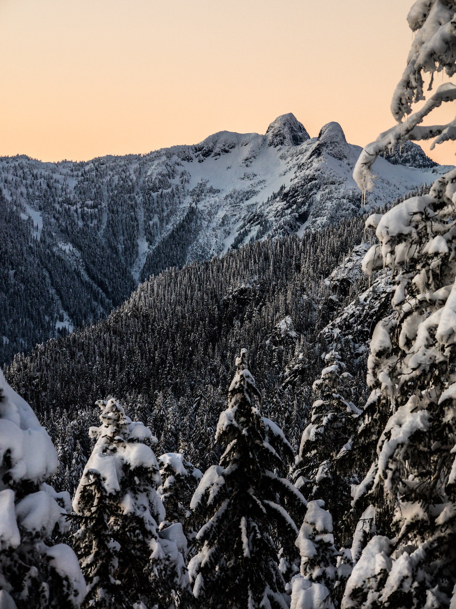 Sigma 150-500mm F5-6.3 DG OS HSM sample photo. The lions in winter mountain landscape photography