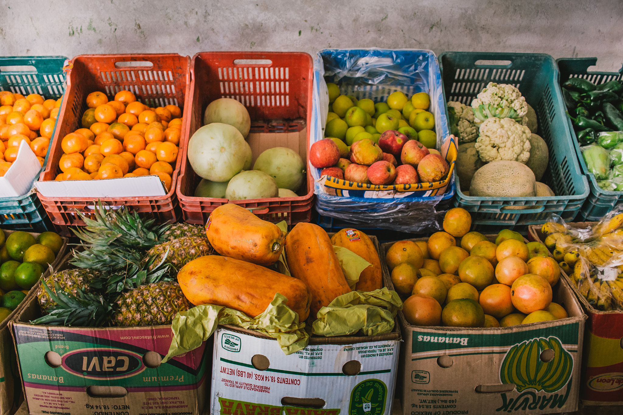 Canon EF-S 24mm F2.8 STM sample photo. Fruteria photography