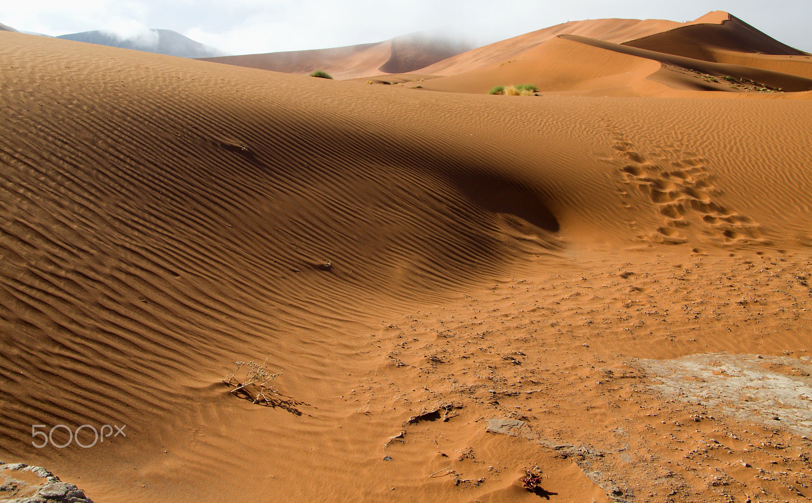 18.00 - 105.00 mm f/3.5 - 5.6 sample photo. Duny v soususvlei photography
