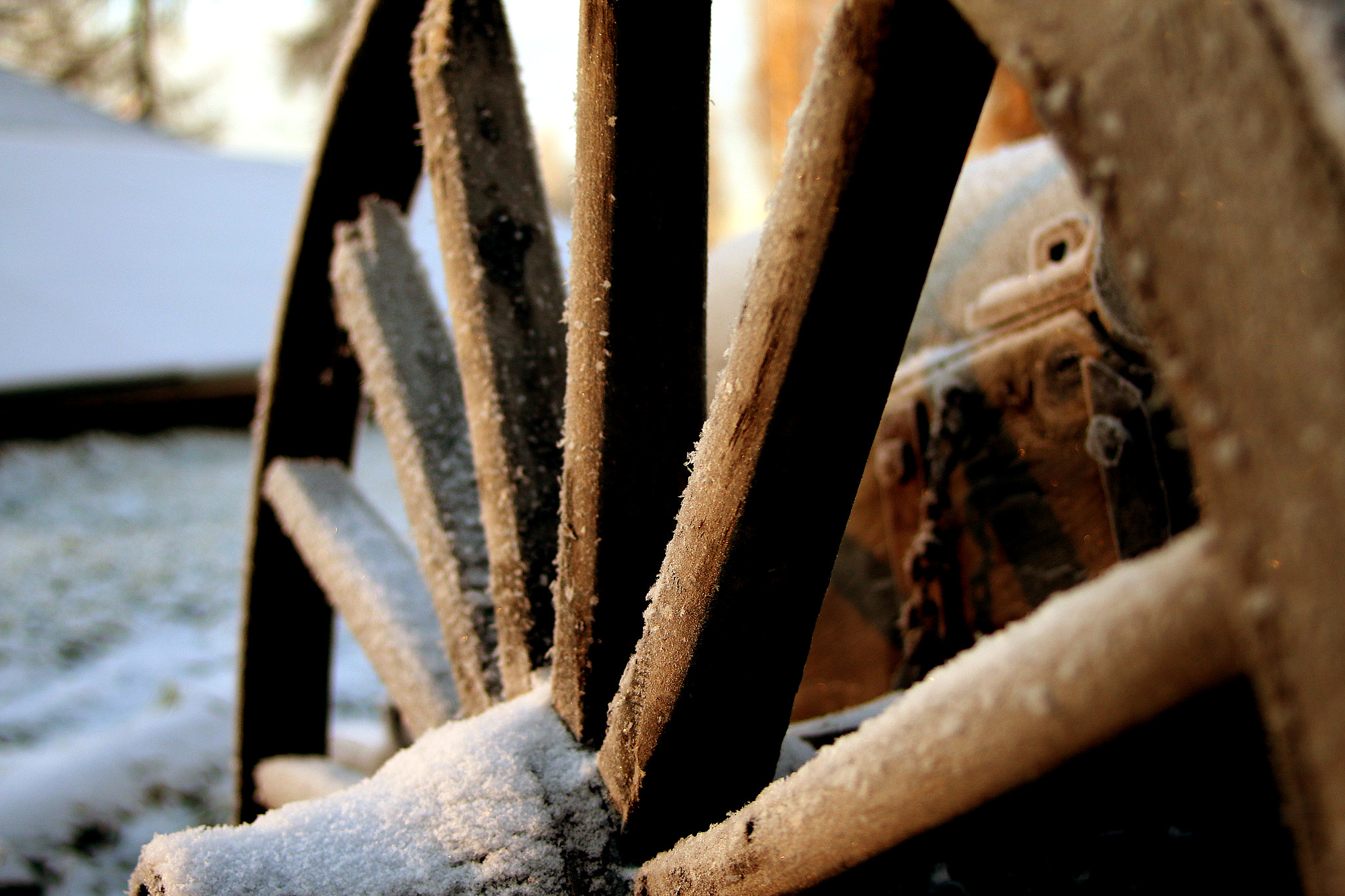 Canon EF 28-80mm f/2.8-4L sample photo. Ratas photography