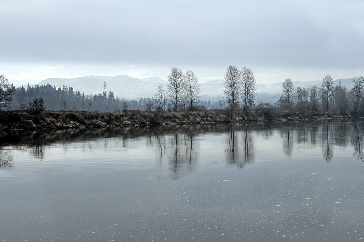 AF Zoom-Nikkor 28-100mm f/3.5-5.6G sample photo. Winter cold lynne kelman photography