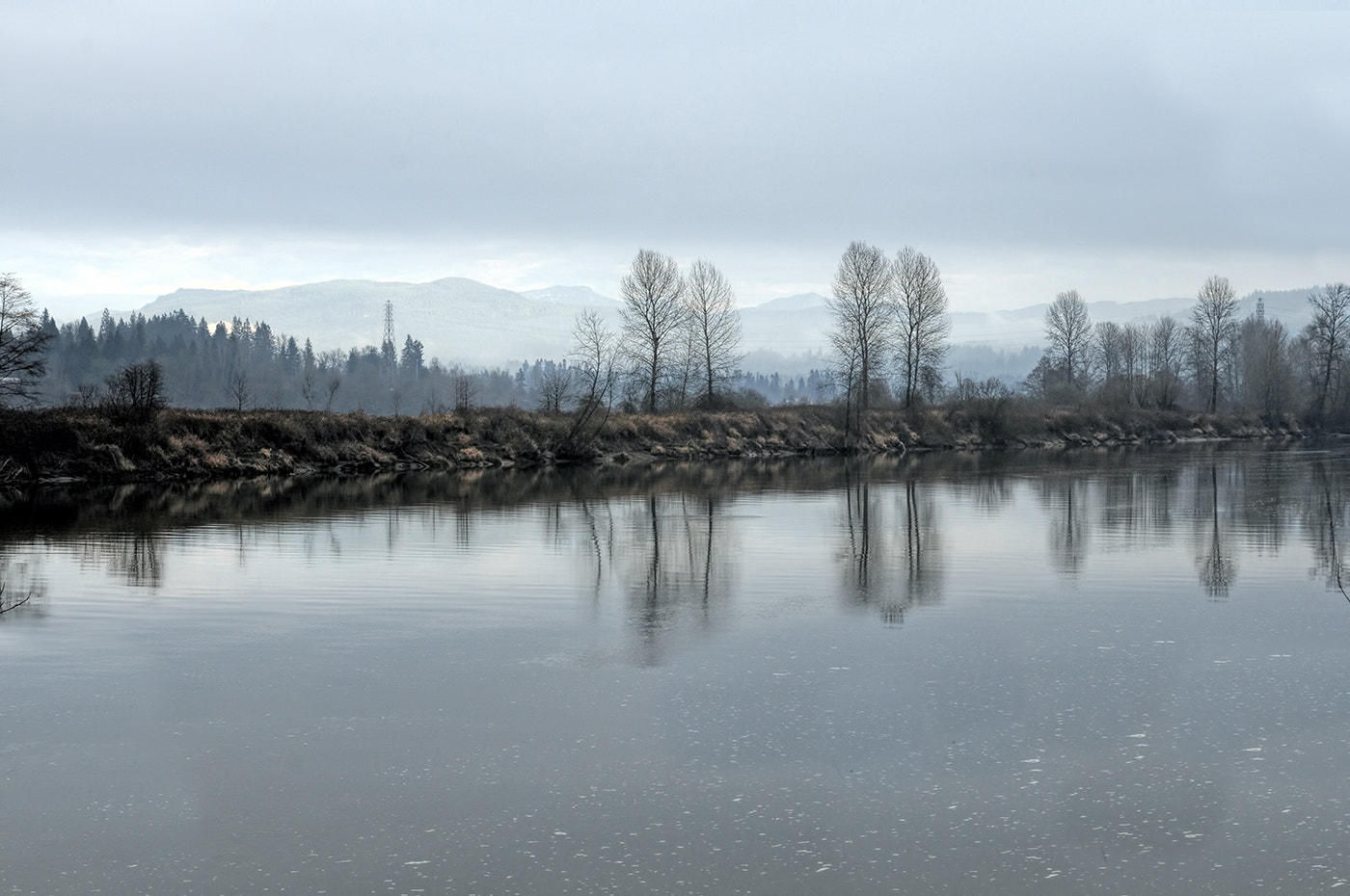 Nikon D300 + AF Zoom-Nikkor 28-100mm f/3.5-5.6G sample photo. Winter cold lynne kelman photography