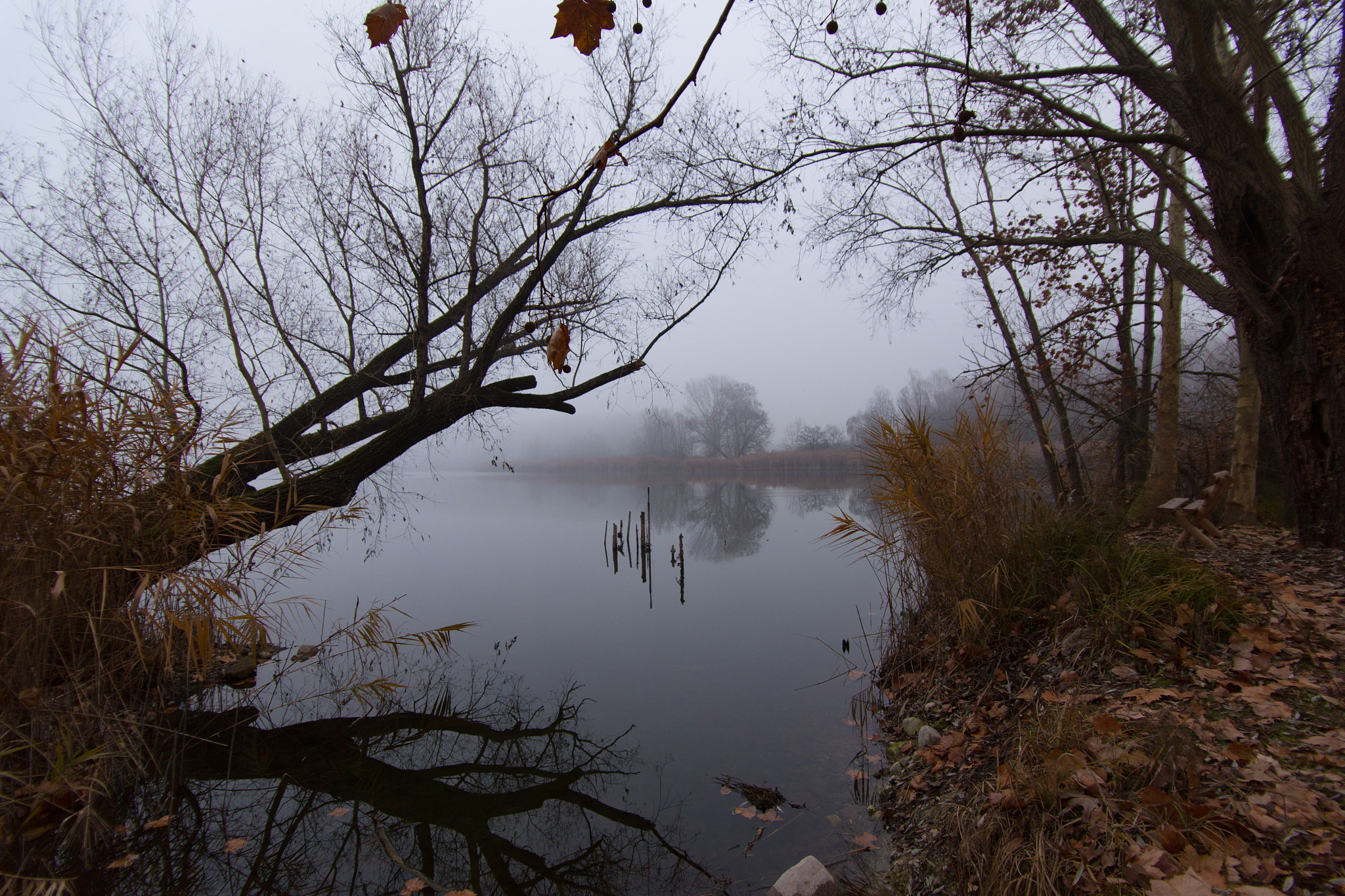 Canon EF-S 17-85mm F4-5.6 IS USM sample photo. Laghetto del frassino photography