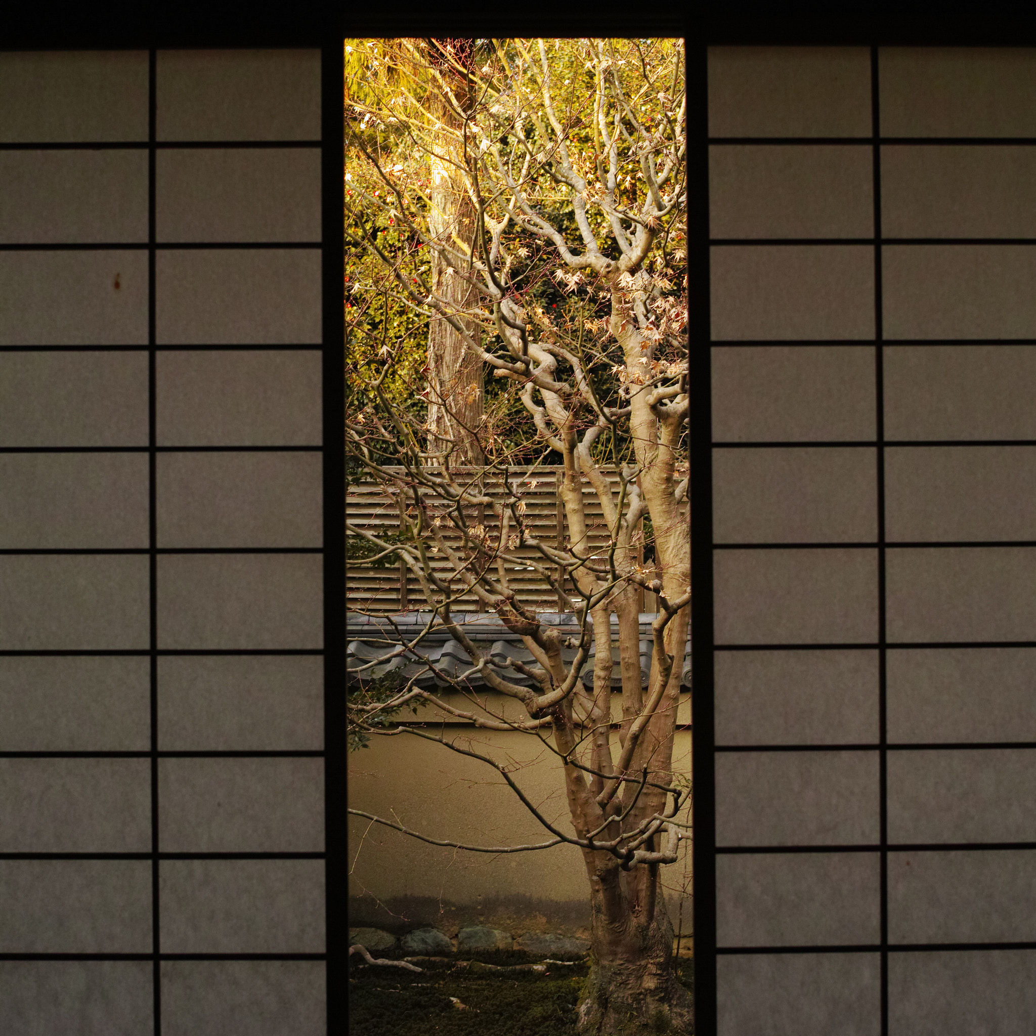 Sigma dp2 Quattro + 1007 sample photo. A space photography