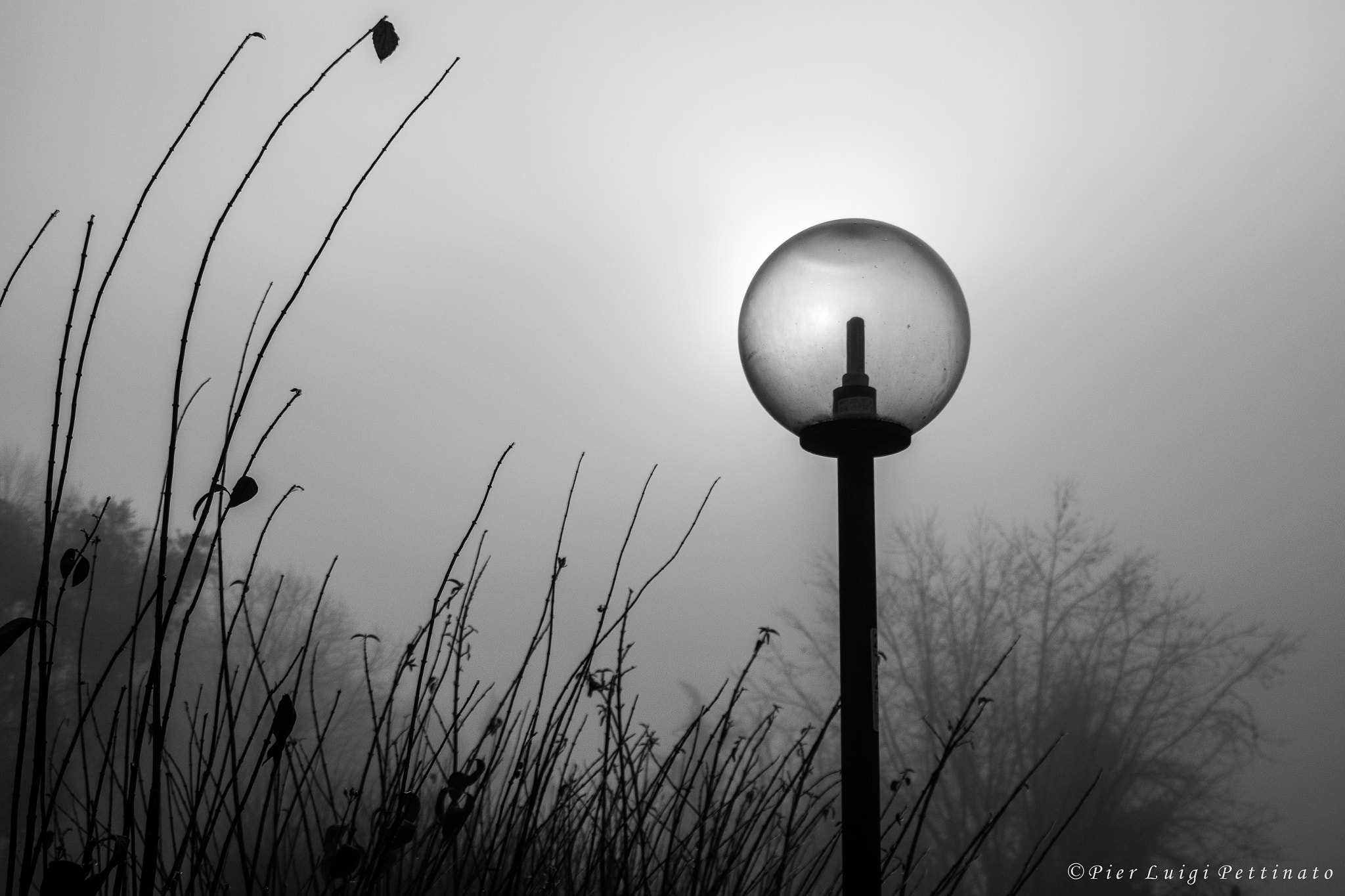 Canon EF 24-105mm F3.5-5.6 IS STM sample photo. Fog photography