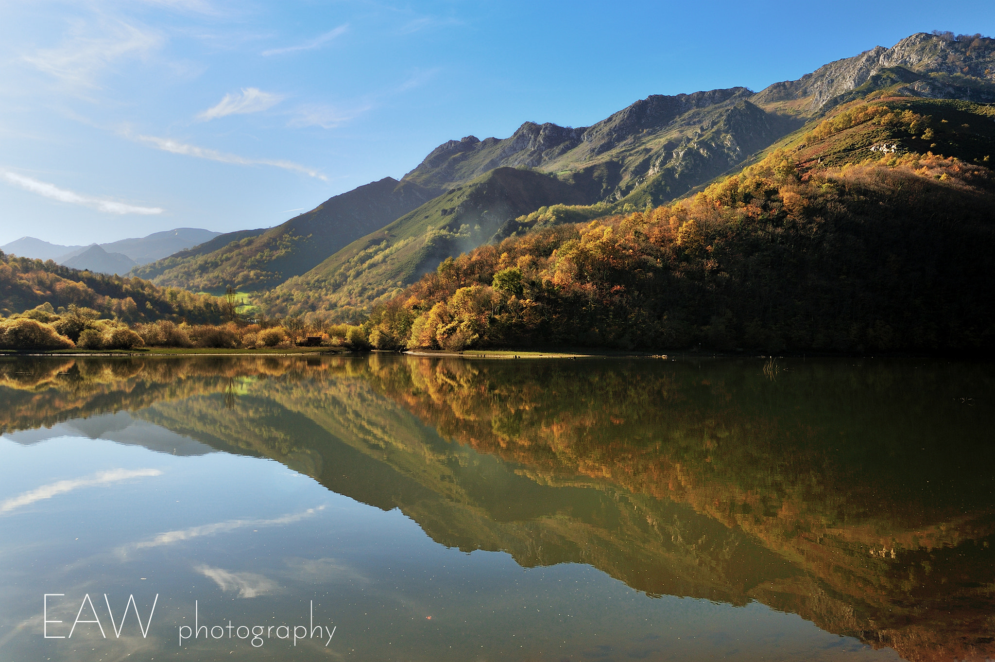 Nikon D700 + Sigma 24-60mm F2.8 EX DG sample photo. Smell the peace photography