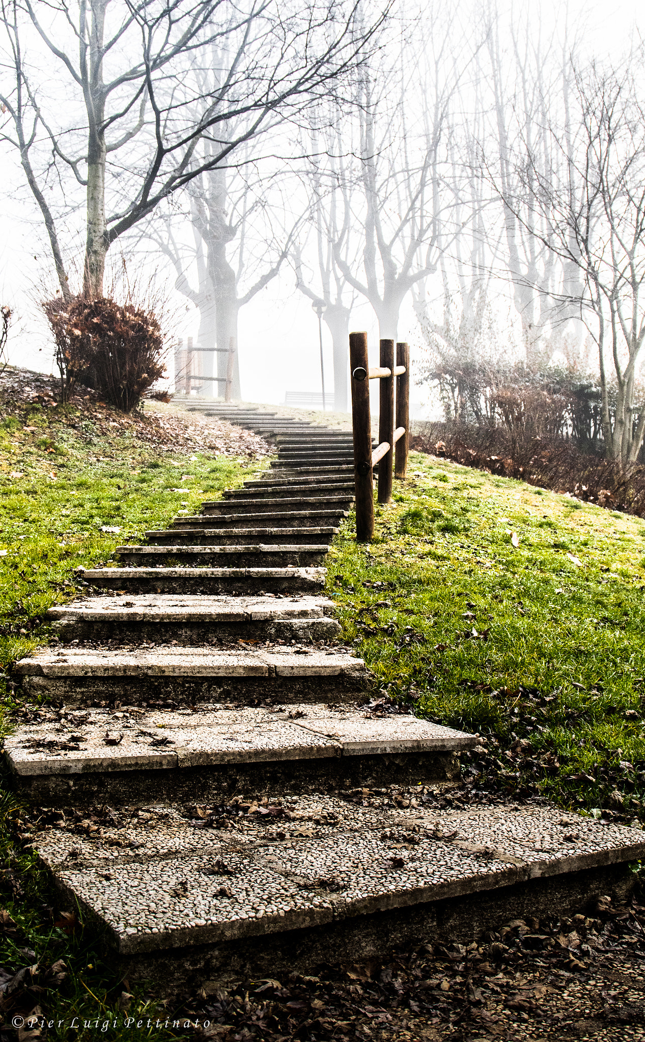 Canon EF 24-105mm F3.5-5.6 IS STM sample photo. Stairway to.... photography