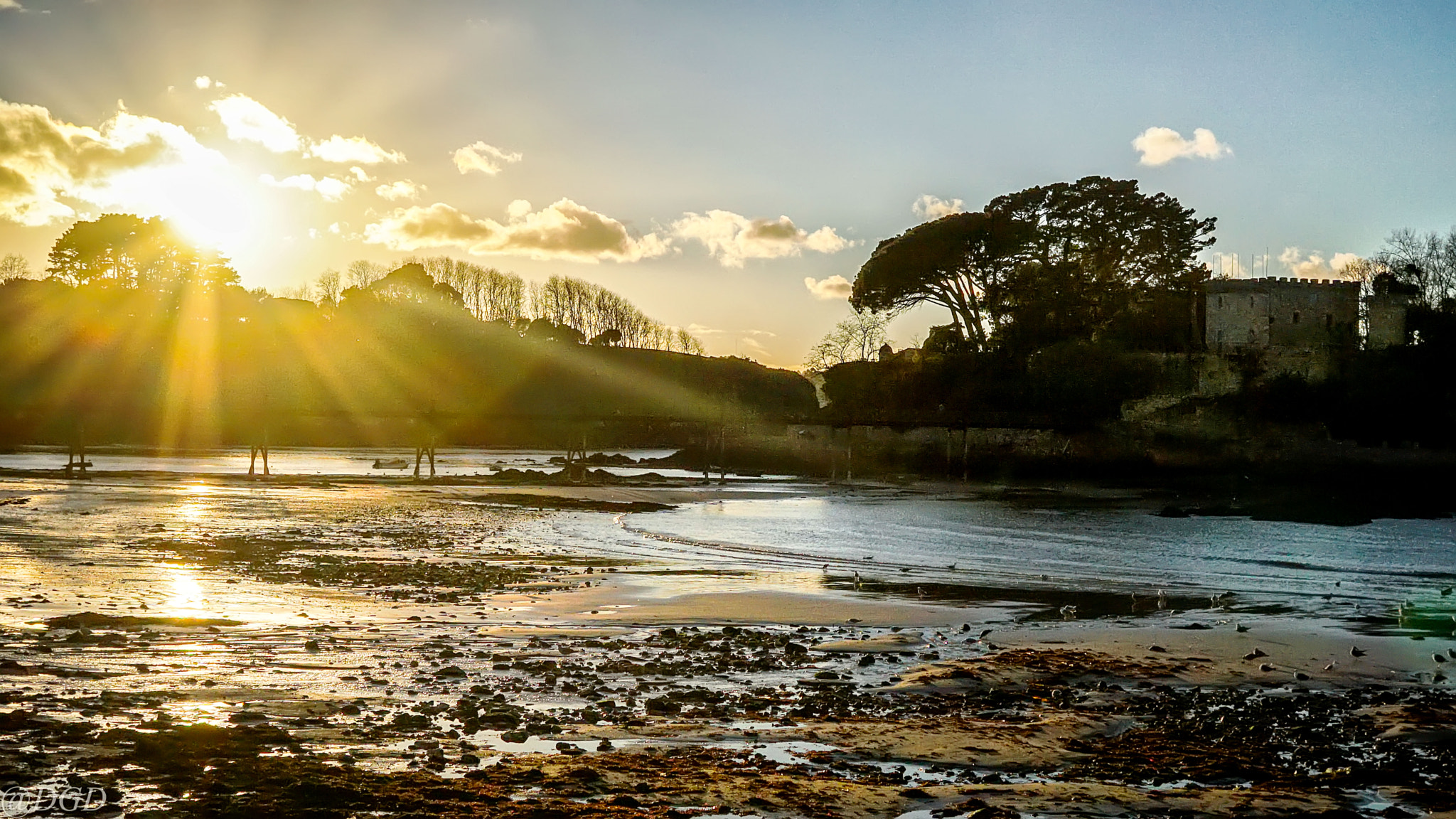 Sony a5100 + Sigma 19mm F2.8 EX DN sample photo. Last ray of sunshine photography