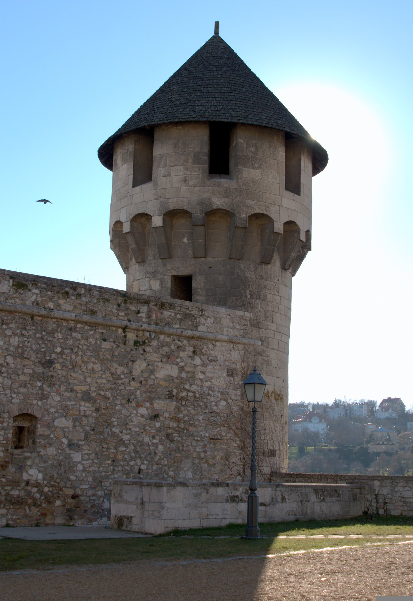 Sony Alpha DSLR-A700 + Minolta AF 28-105mm F3.5-4.5 [New] sample photo. Buda castle photography