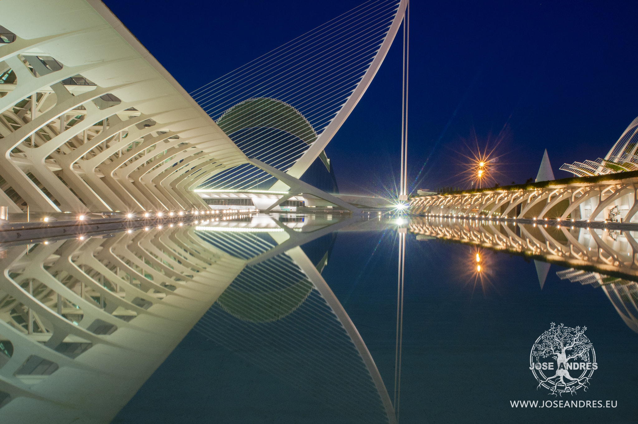 Nikon D300S + Nikon AF Nikkor 20mm F2.8D sample photo. Ciudad de la ciencias valencia photography