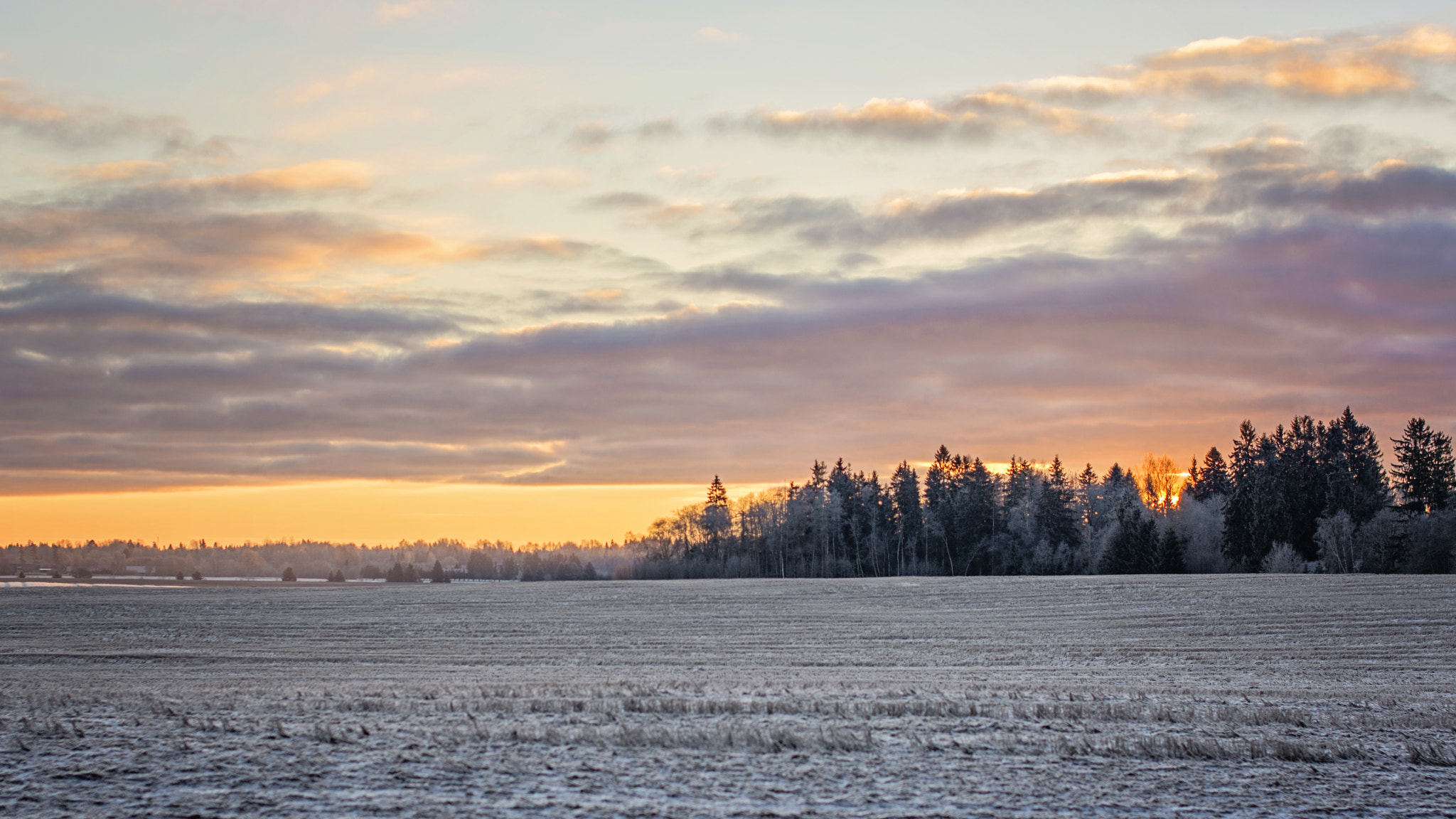 Nikon D5200 + Sigma 50mm F1.4 EX DG HSM sample photo. A peaceful morning photography