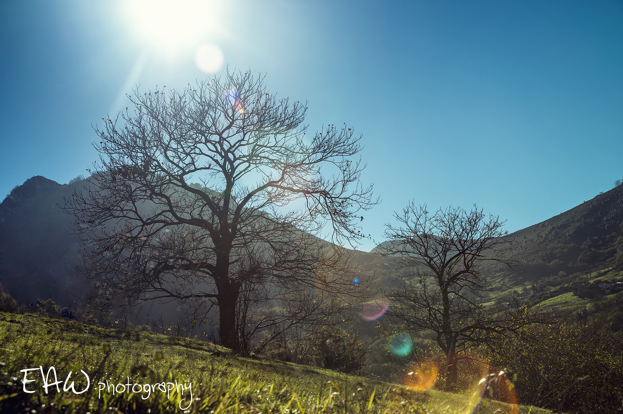 Nikon D700 + Sigma 24-60mm F2.8 EX DG sample photo. Natural flare photography