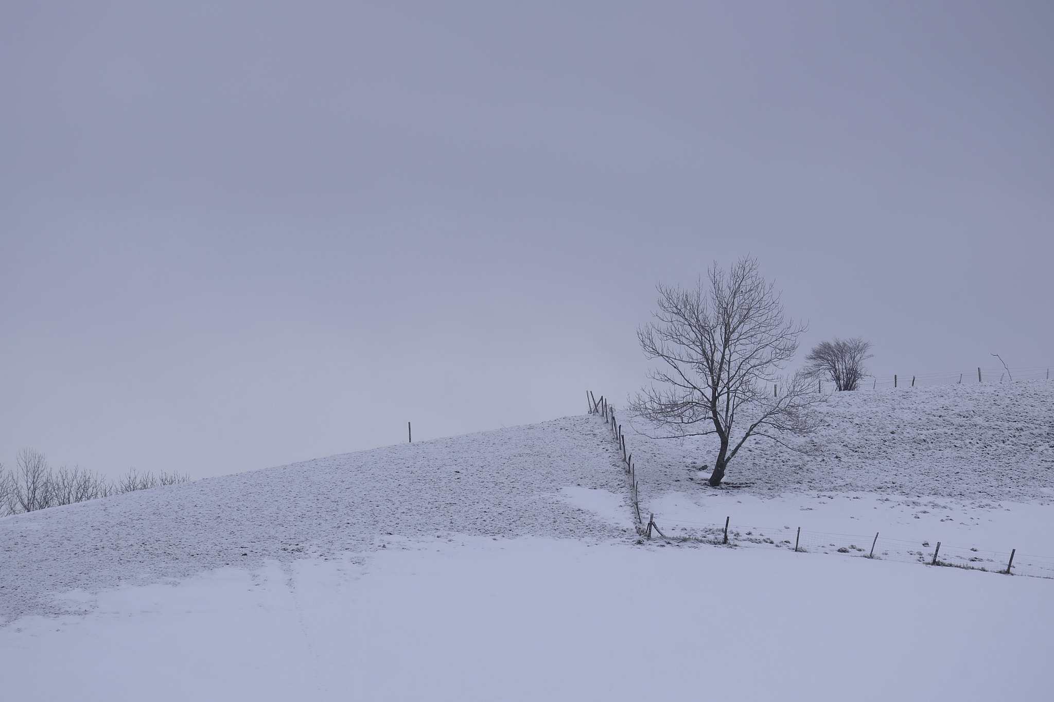 Fujifilm X-A1 + Fujifilm XC 50-230mm F4.5-6.7 OIS sample photo. Douceur hivernale photography