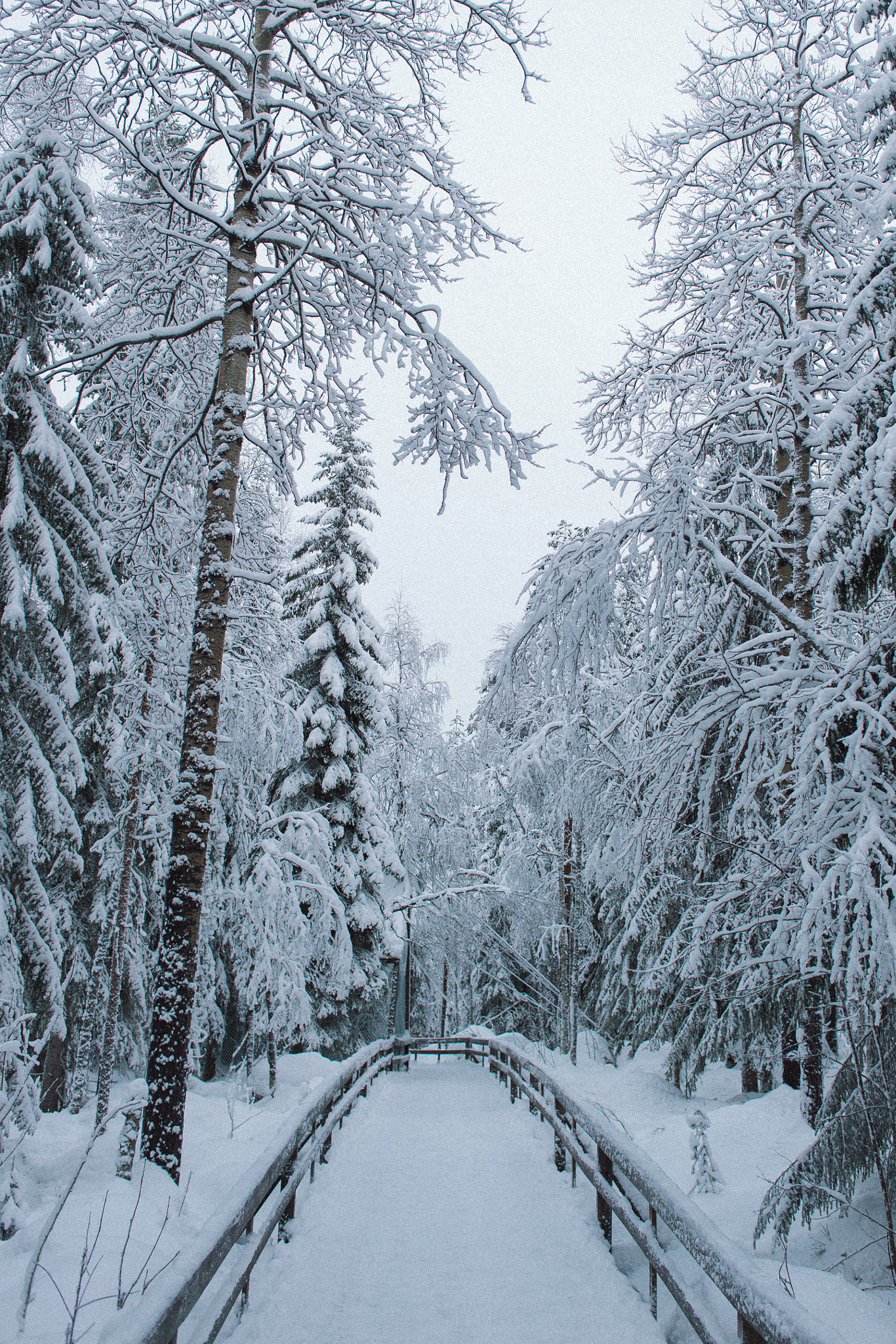 Canon EOS 6D + Canon EF 28mm F2.8 sample photo. Cold morning photography