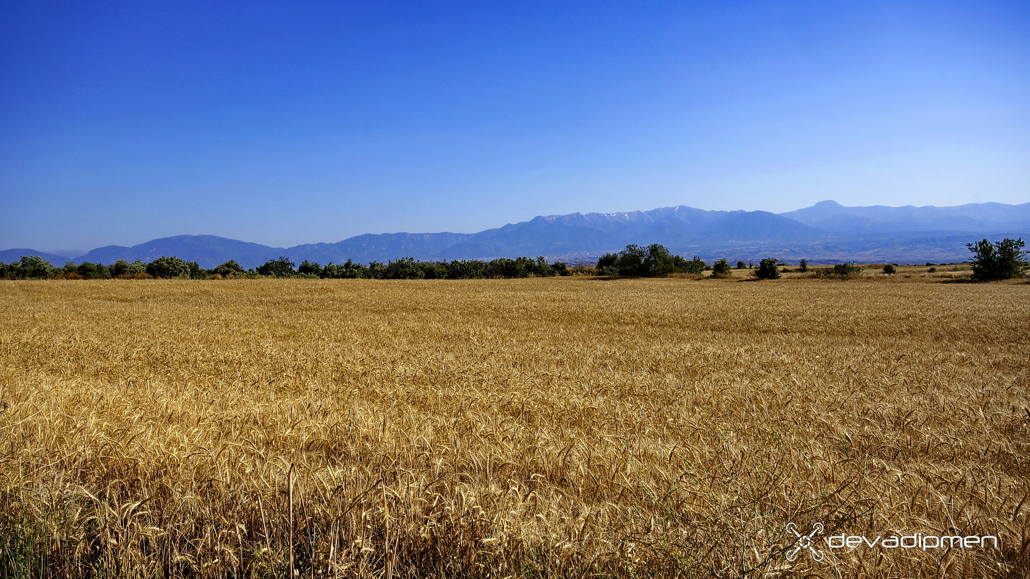 Sigma AF 10-20mm F4-5.6 EX DC sample photo. Hasat zamanı photography