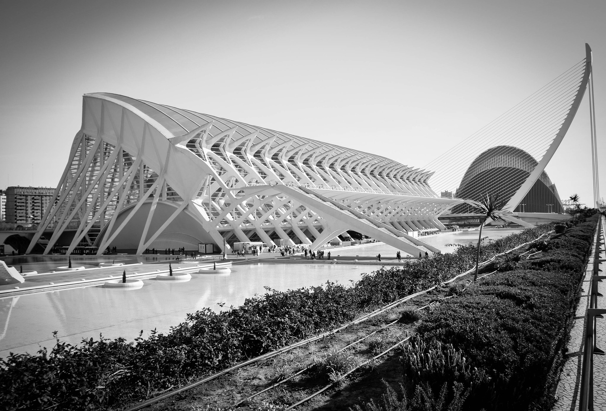 Sigma 18-200mm F3.5-6.3 DC OS HSM sample photo. Valencia - ciutat de les arts i les ciències photography
