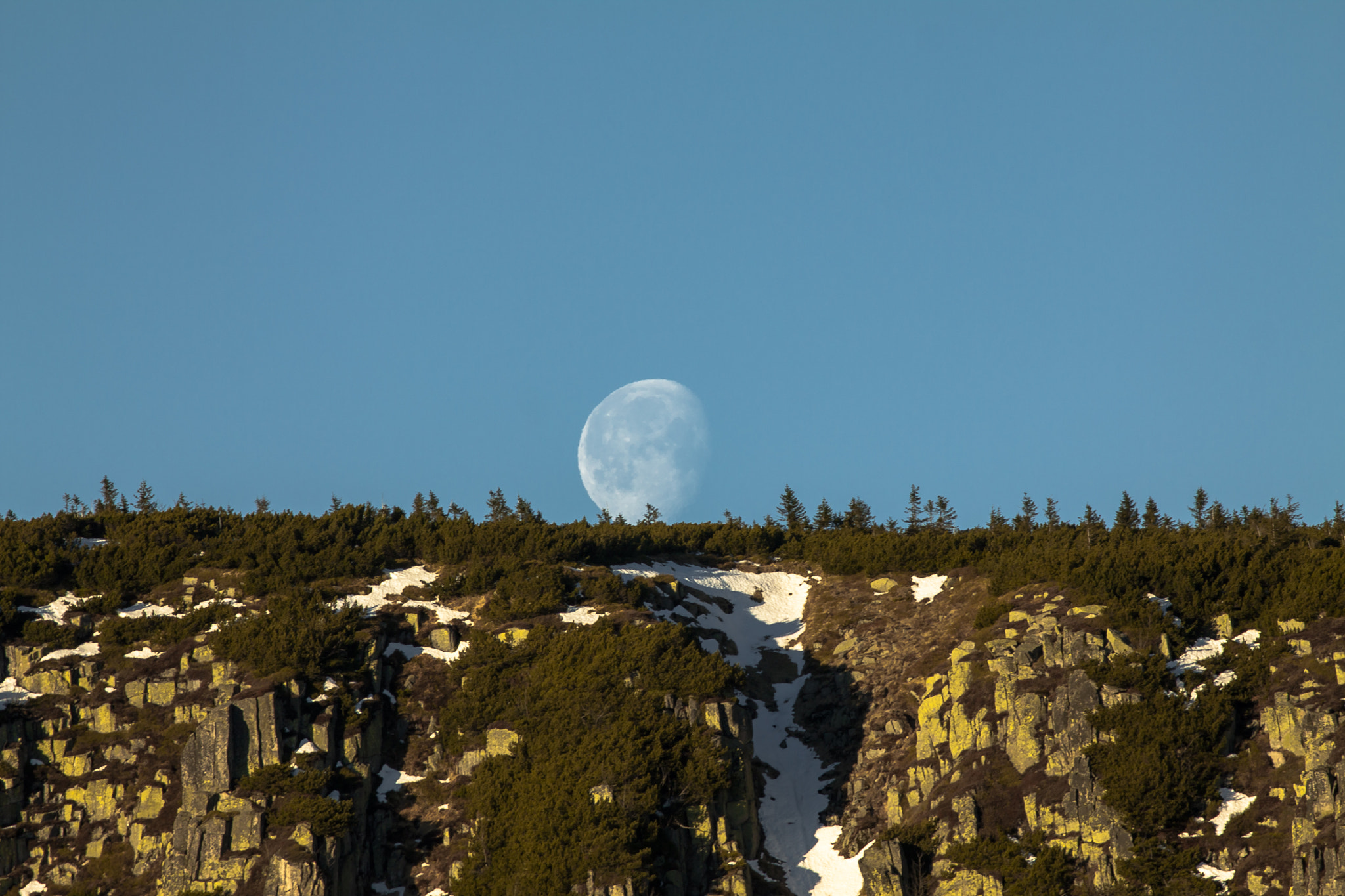 Canon EOS 50D + Canon EF 300mm F4L IS USM sample photo. Monn photography