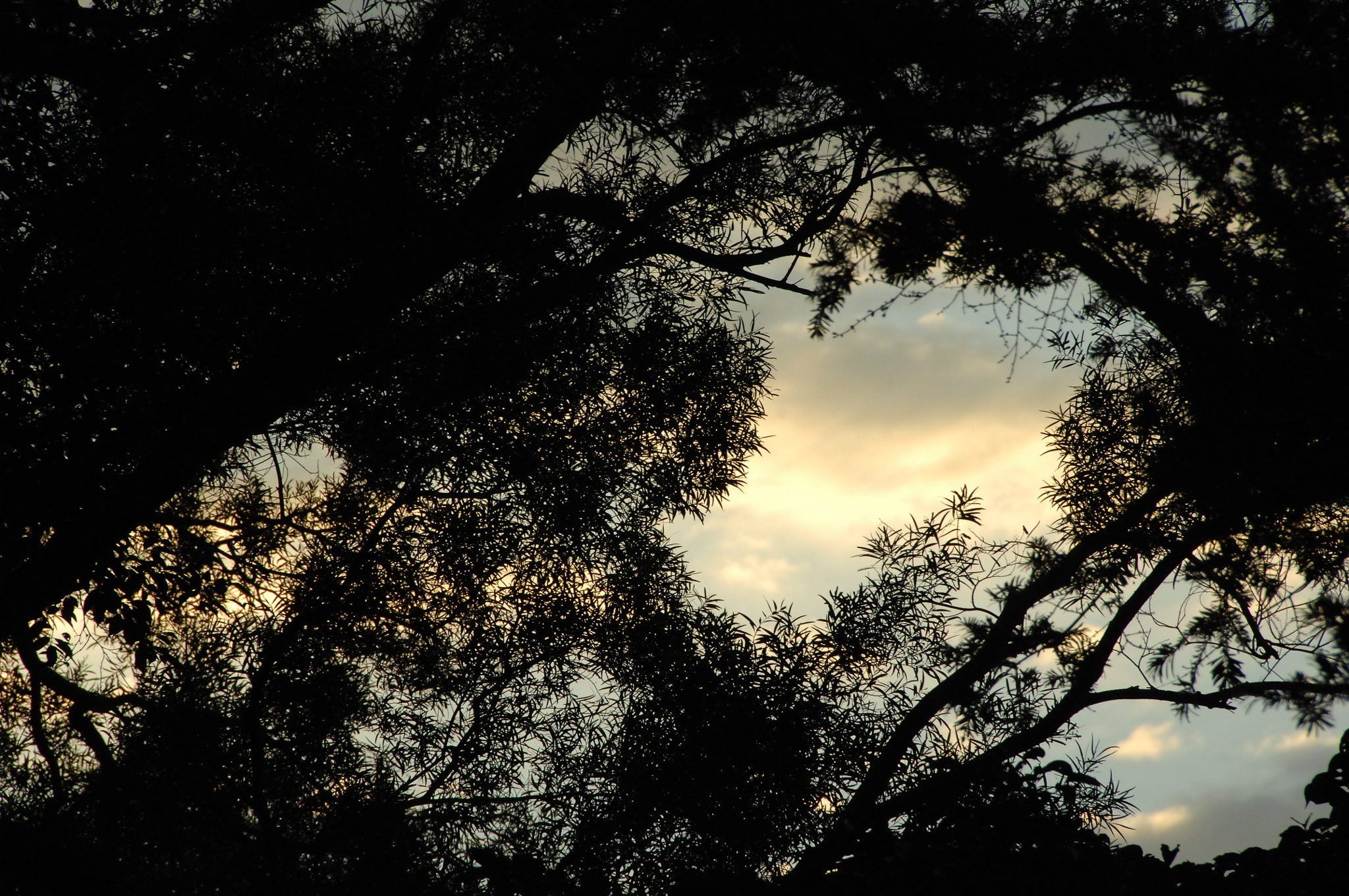 Nikon D2X sample photo. .. photography