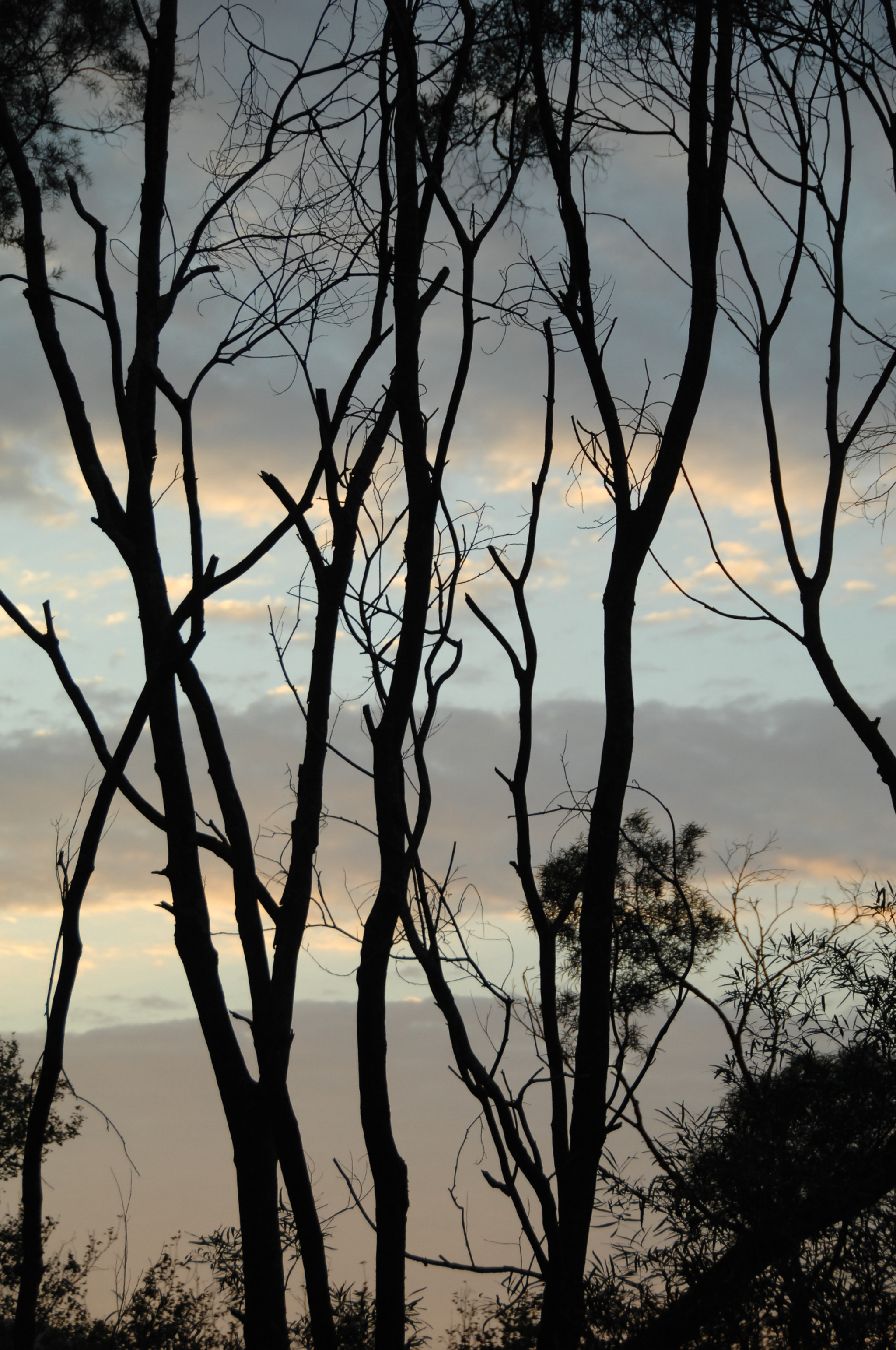 Nikon D2X sample photo. .. photography