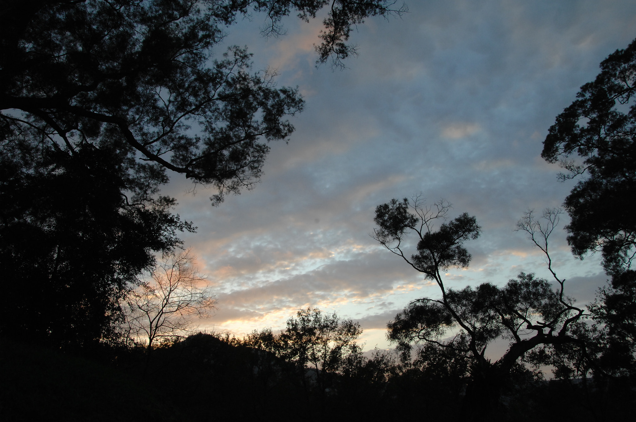 Nikon D2X sample photo. .. photography