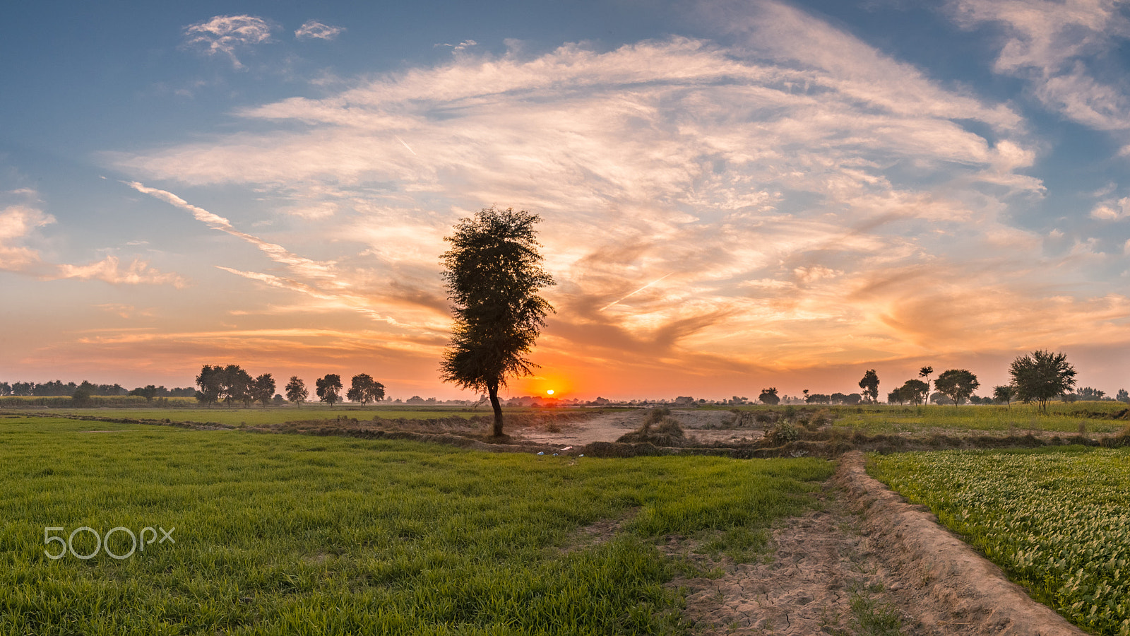 Canon EOS-1D Mark IV sample photo. Last sunset of 2015 photography