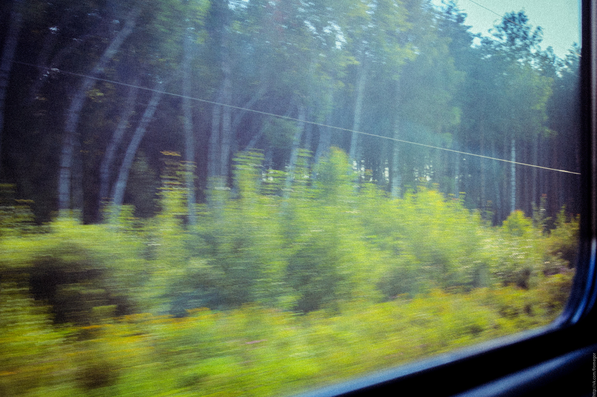 Nikon D70 sample photo. _ photography