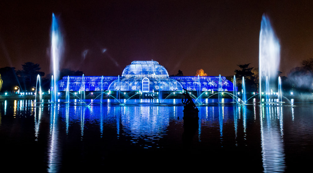 Kew Gardens - Christmas Lights 2015