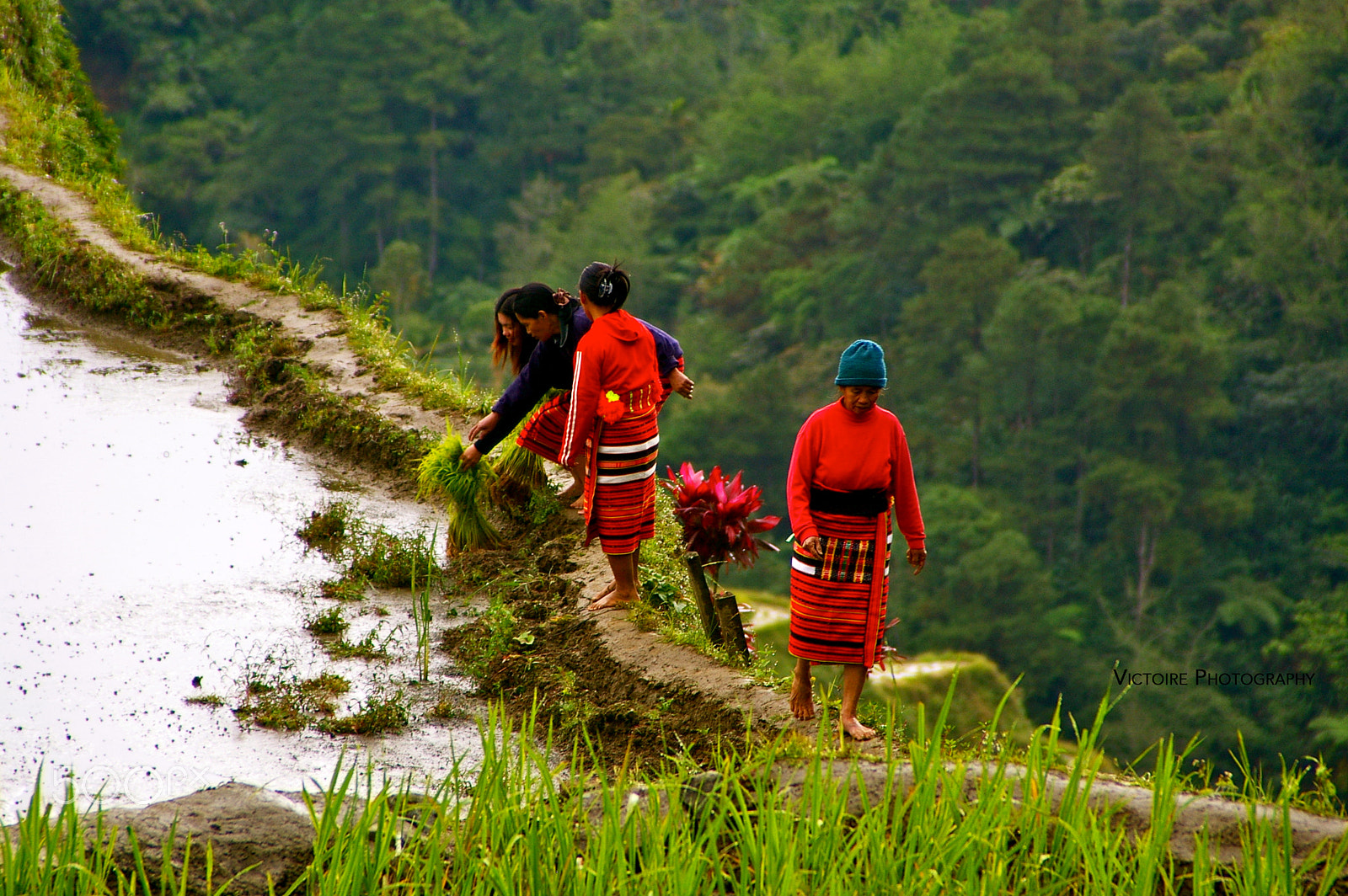 smc PENTAX-FA 28-200mm F3.8-5.6 AL[IF] sample photo. Ifugao at work photography