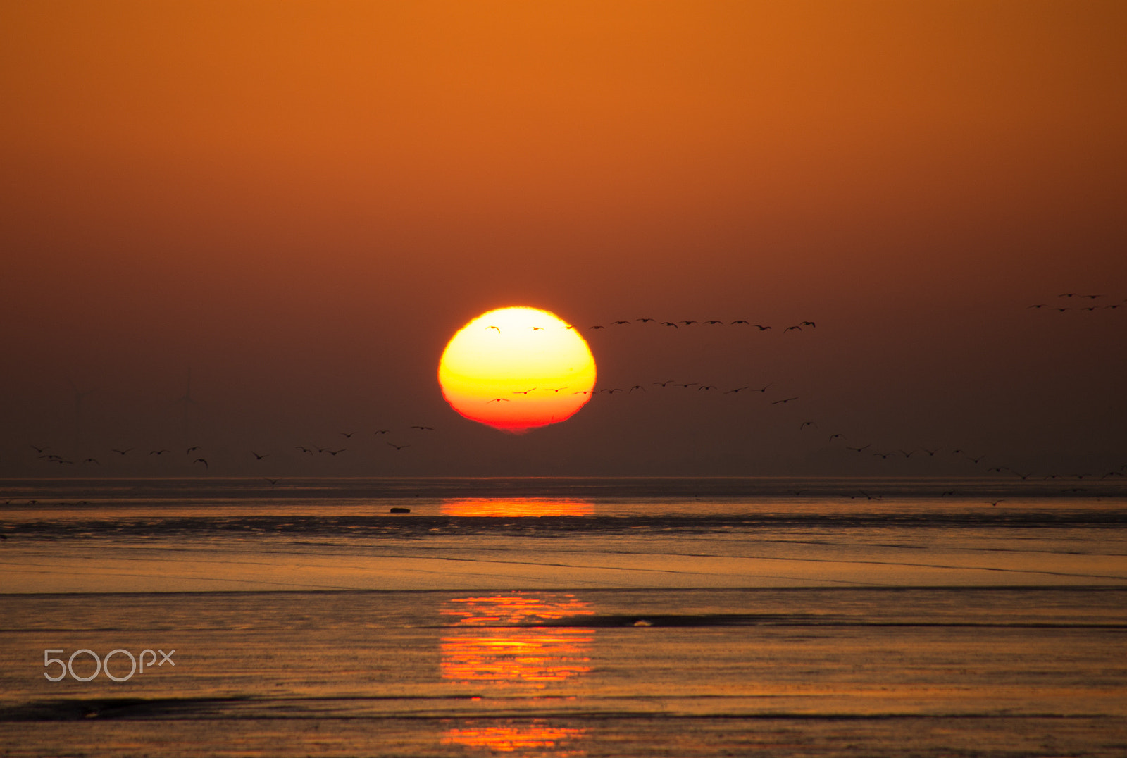 Tamron 16-300mm F3.5-6.3 Di II VC PZD Macro sample photo. Those early mornings photography
