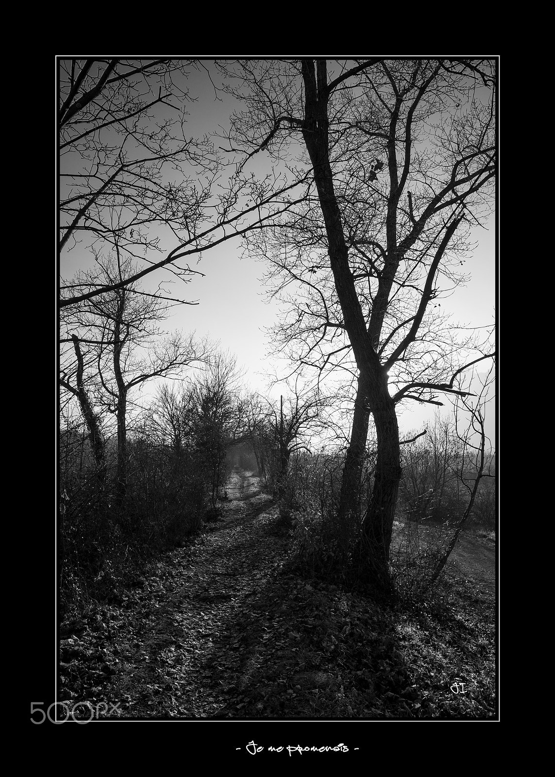 Pentax K-5 sample photo. La promenade photography