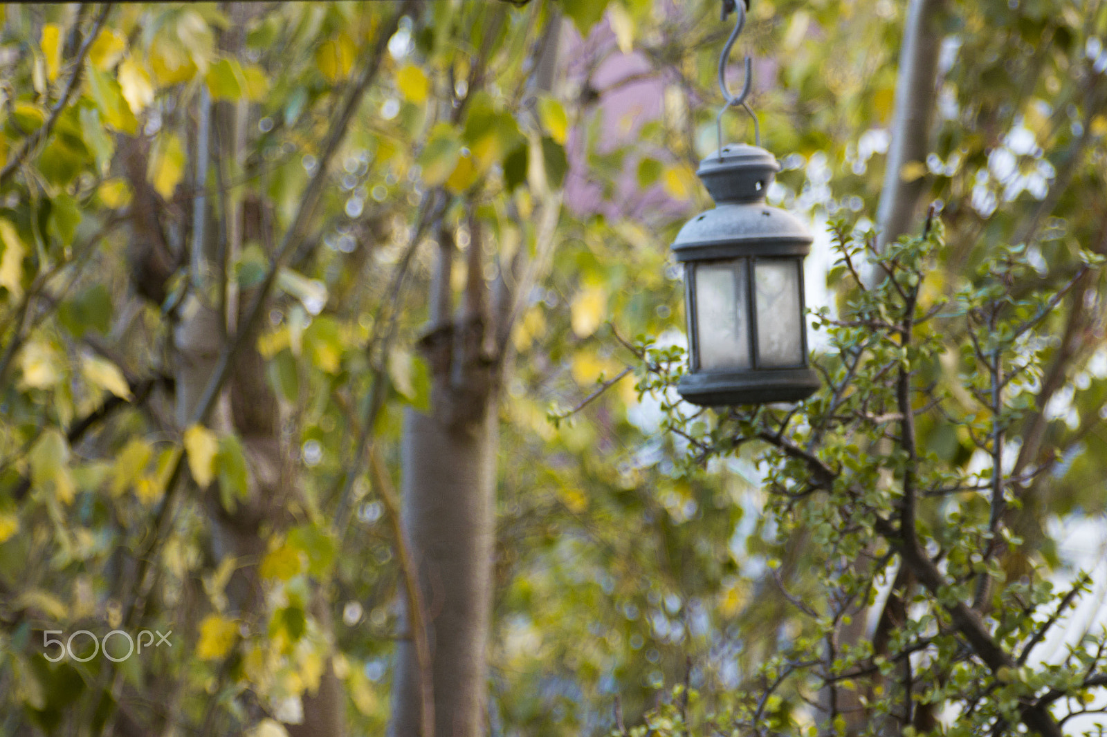 Tamron AF 28-200mm F3.8-5.6 XR Di Aspherical (IF) Macro sample photo. Lamp not lit photography