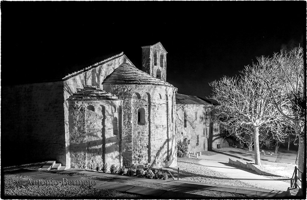 Sigma 18-200mm F3.5-6.3 DC OS HSM sample photo. Santa cecilia photography