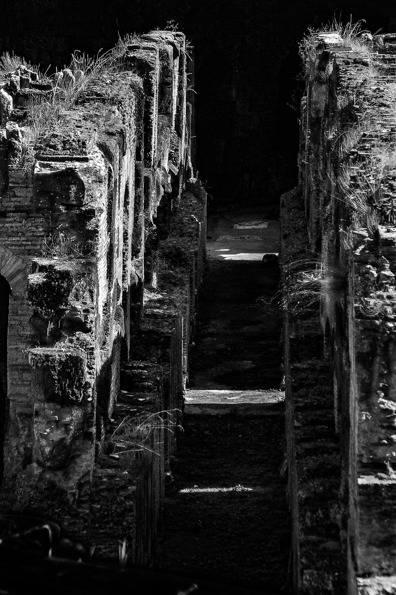Nikon D50 sample photo. In the mouth of madness photography