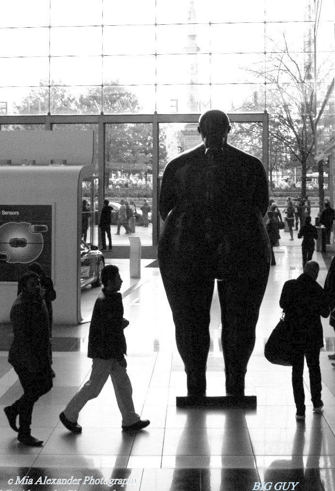 Nikon D100 sample photo. Big guy! photography