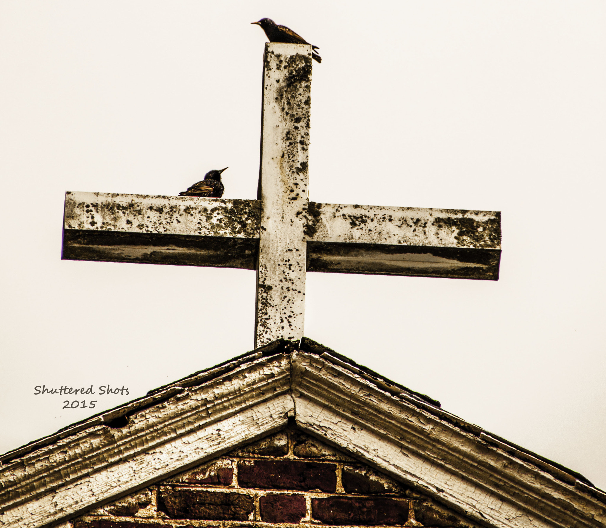 Canon EOS 500D (EOS Rebel T1i / EOS Kiss X3) sample photo. Going to church photography