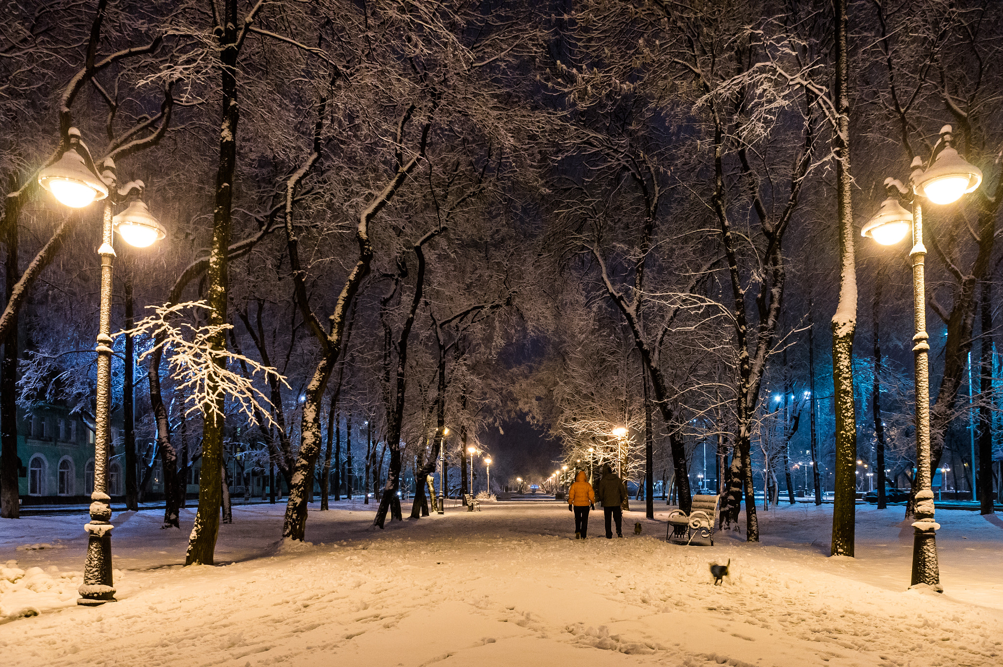 Sony Alpha DSLR-A580 sample photo. Snow in spring photography