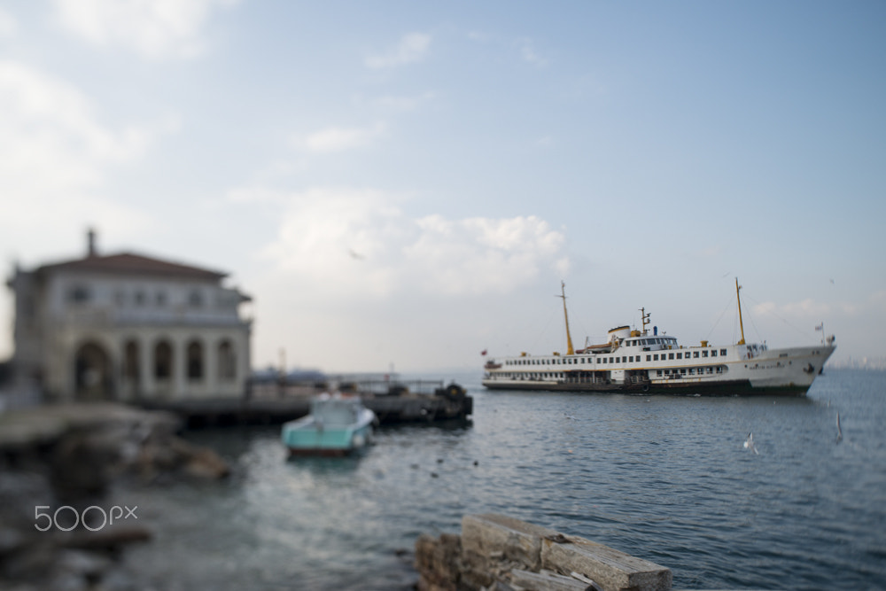 Nikon PC-E Nikkor 24mm F3.5D ED Tilt-Shift sample photo. * photography