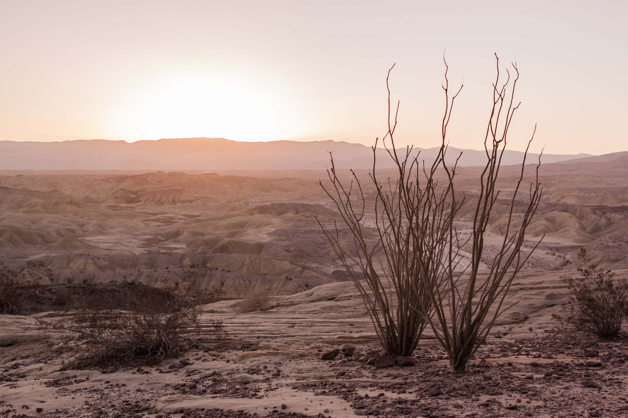 Canon EF 28mm F1.8 USM sample photo. Anza-borrego state preserve photography