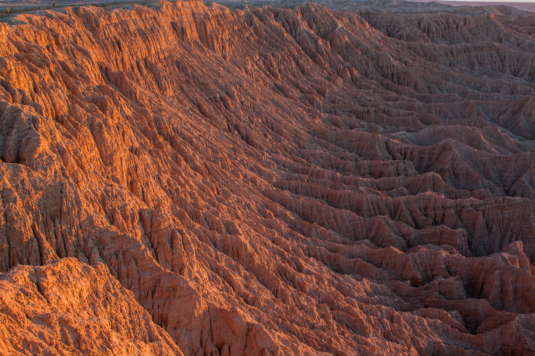 Canon EF 28mm F1.8 USM sample photo. Anza-borrego state preserve photography