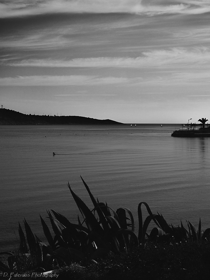 Olympus PEN E-PL7 sample photo. Alone photography