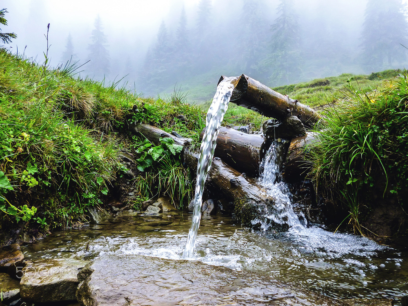 Panasonic DMC-FH5 sample photo. Carpathians, source of spring water, near mount petros photography