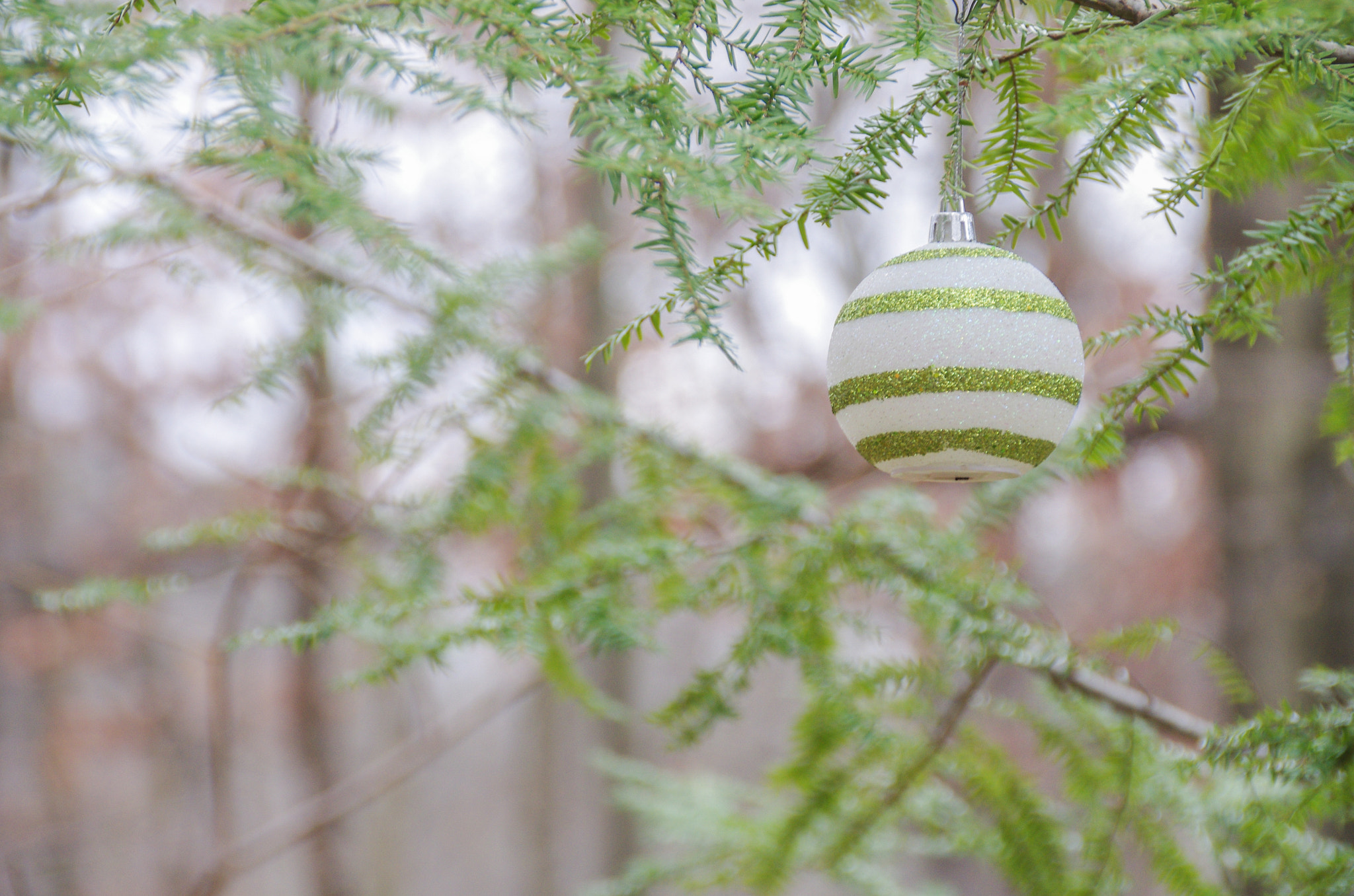 Sigma 18-200mm F3.5-6.3 II DC OS HSM sample photo. Lone bulb photography